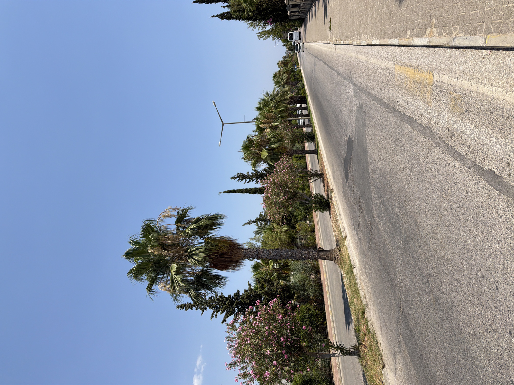 This is a vertical, eye-level, full-shot photograph of a street in Kemer, Turkey, on a sunny day. The street is asphalt, with a yellow line marking the edge of the lane. To the left of the street is a sidewalk with grass and trees, including palm trees and flowering bushes. To the right of the street is a paved sidewalk with some people walking. Several cars and a bus are on the street. The sky is clear blue with a few wispy clouds. The overall scene depicts a typical streetscape in a Mediterranean city, with a focus on the natural elements interspersed with urban infrastructure.