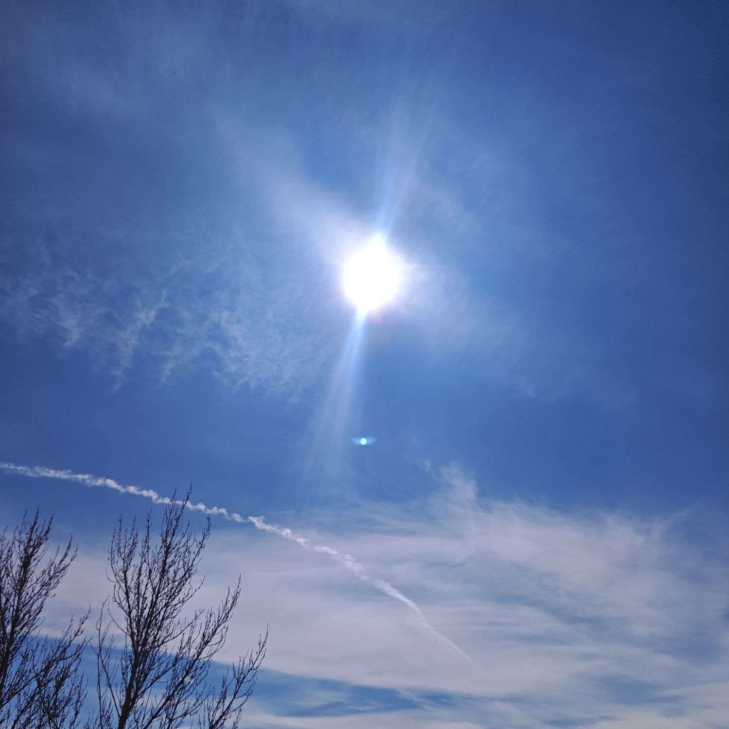 The image displays a bright, sunny blue sky, with the sun prominently positioned in the upper center, emitting a strong lens flare and streaks of light. The sky is a deep azure, transitioning to lighter shades, and features scattered wispy white clouds, likely cirrus, which create a soft, hazy effect in various sections.
A distinct, linear white contrail, indicative of an aircraft's passage, stretches diagonally across the lower half of the sky from left to right. In the bottom left and central portions of the frame, the bare, dark branches of trees are silhouetted against the bright sky, suggesting a season without foliage, such as late autumn, winter, or early spring.
The scene captures a clear and bright daytime, with the intense sun being the dominant light source. The weather appears sunny with some high-altitude cloud cover. There is no discernible human activity or visible text in the image. The overall impression is of a peaceful, expansive outdoor natural setting, characteristic of a bright day in a temperate climate, potentially in Rostov, Russia.