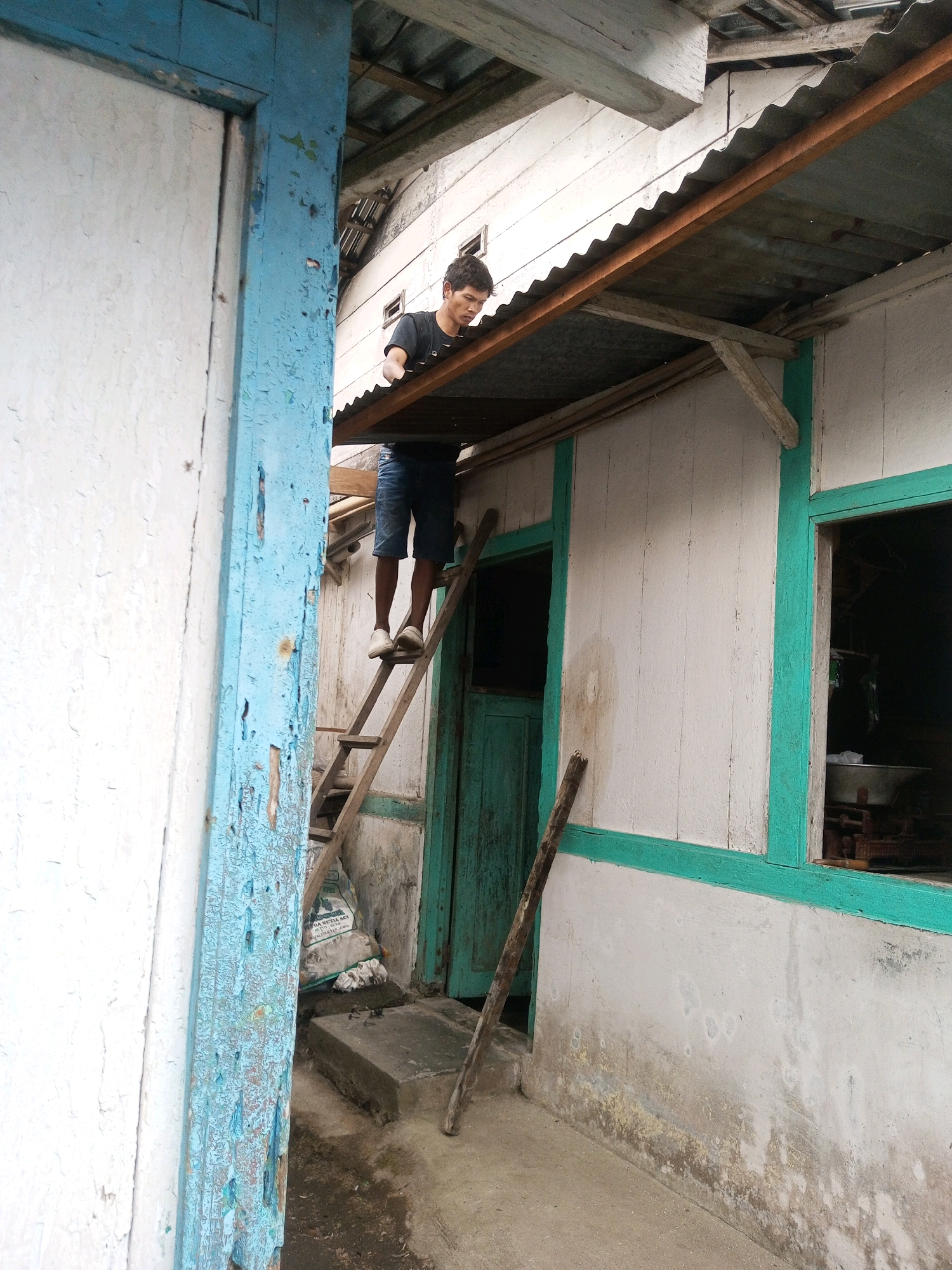 A young Indonesian man stands on a wooden ladder, reaching towards a corrugated metal roof. He is wearing a black t-shirt and denim shorts, with white shoes. The ladder is leaning against the side of a white wooden house with teal trim around the windows and doors. The house appears to be in a rural area, possibly in Andongsili, Indonesia, given the context. A wooden door painted teal is visible on the side of the house, as is a window revealing a dimly lit interior with what appears to be a scale. The ground is dirt and concrete. The overall scene suggests a residential dwelling undergoing maintenance or repair.