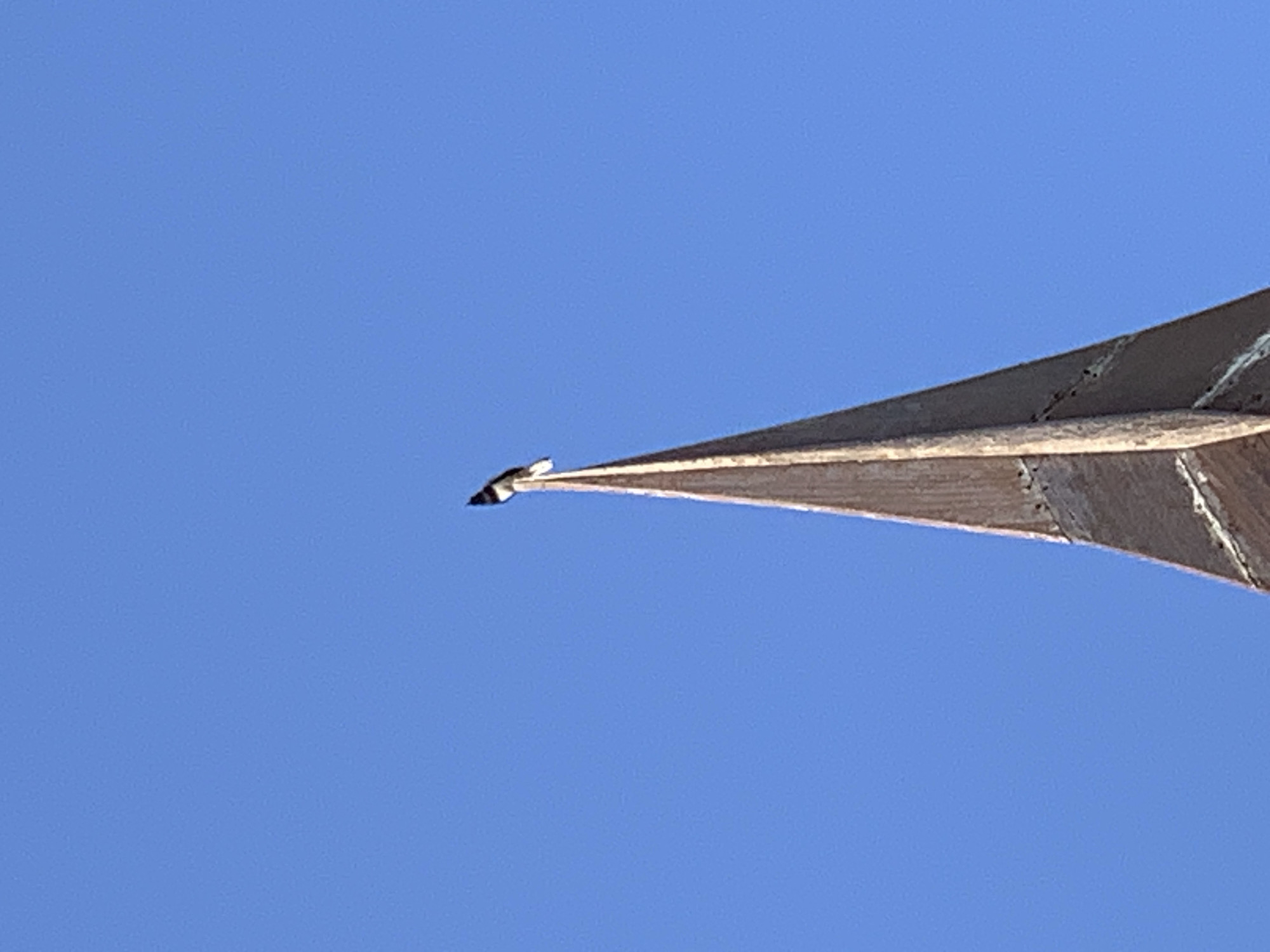 A bird perches on the pointed apex of a structure, potentially part of a building, in Baan Plai Laem, Thailand, set against a clear, solid blue sky. The structure appears weathered, possibly made of wood or stone, and the bird is small and difficult to identify specifically due to its size and distance from the camera.