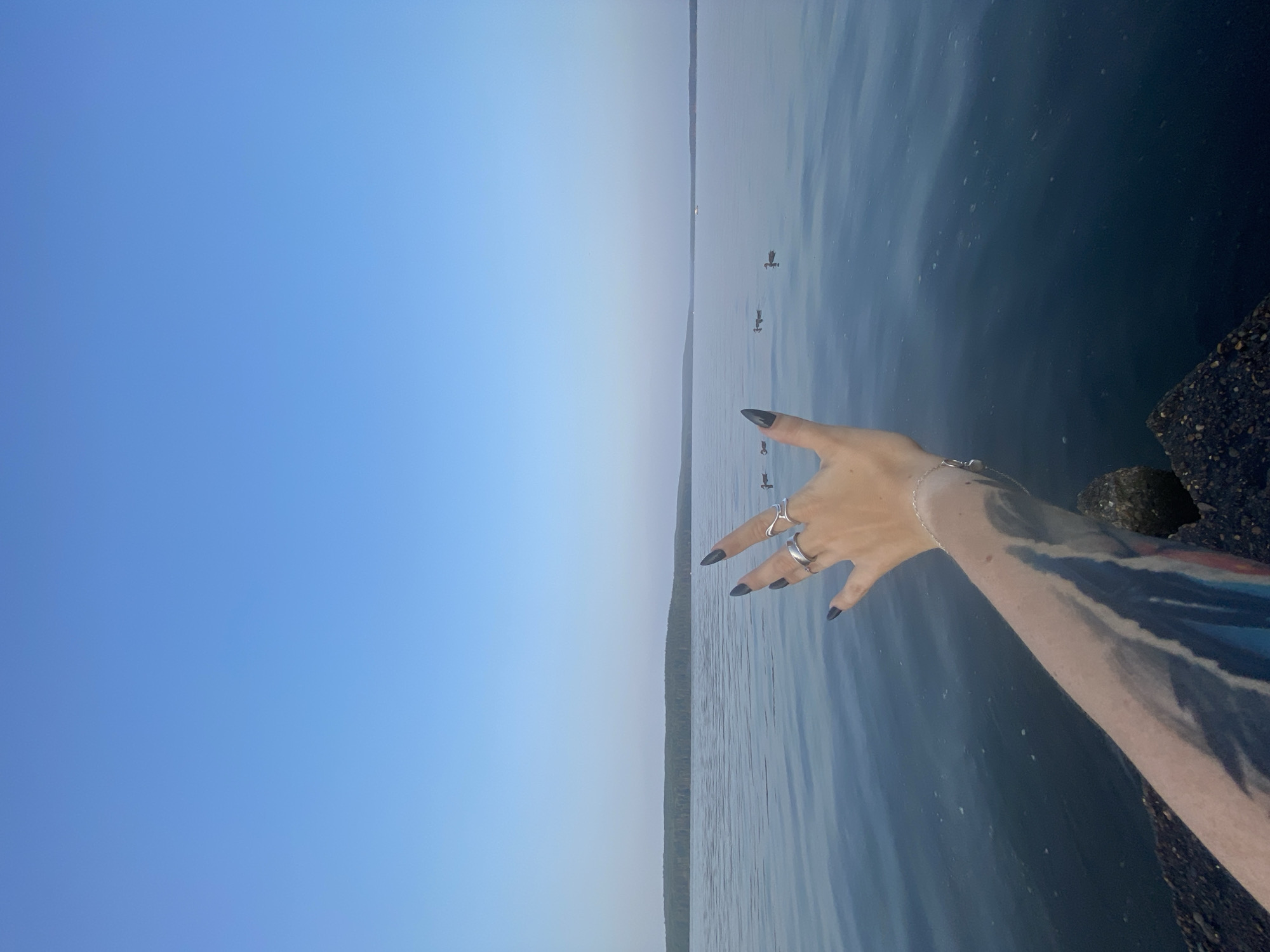 A person's tattooed arm and hand, adorned with rings and a bracelet, are extended towards a calm body of water. The hand is open, with fingers spread. Several ducks are visible on the water in the mid-ground. The background features a distant treeline and a clear blue sky. The scene appears to be a natural setting, possibly a lake or large river, on the outskirts of Chaikovsky, Russia. The lighting suggests it is daytime, likely morning or late afternoon, given the soft light and clear sky.