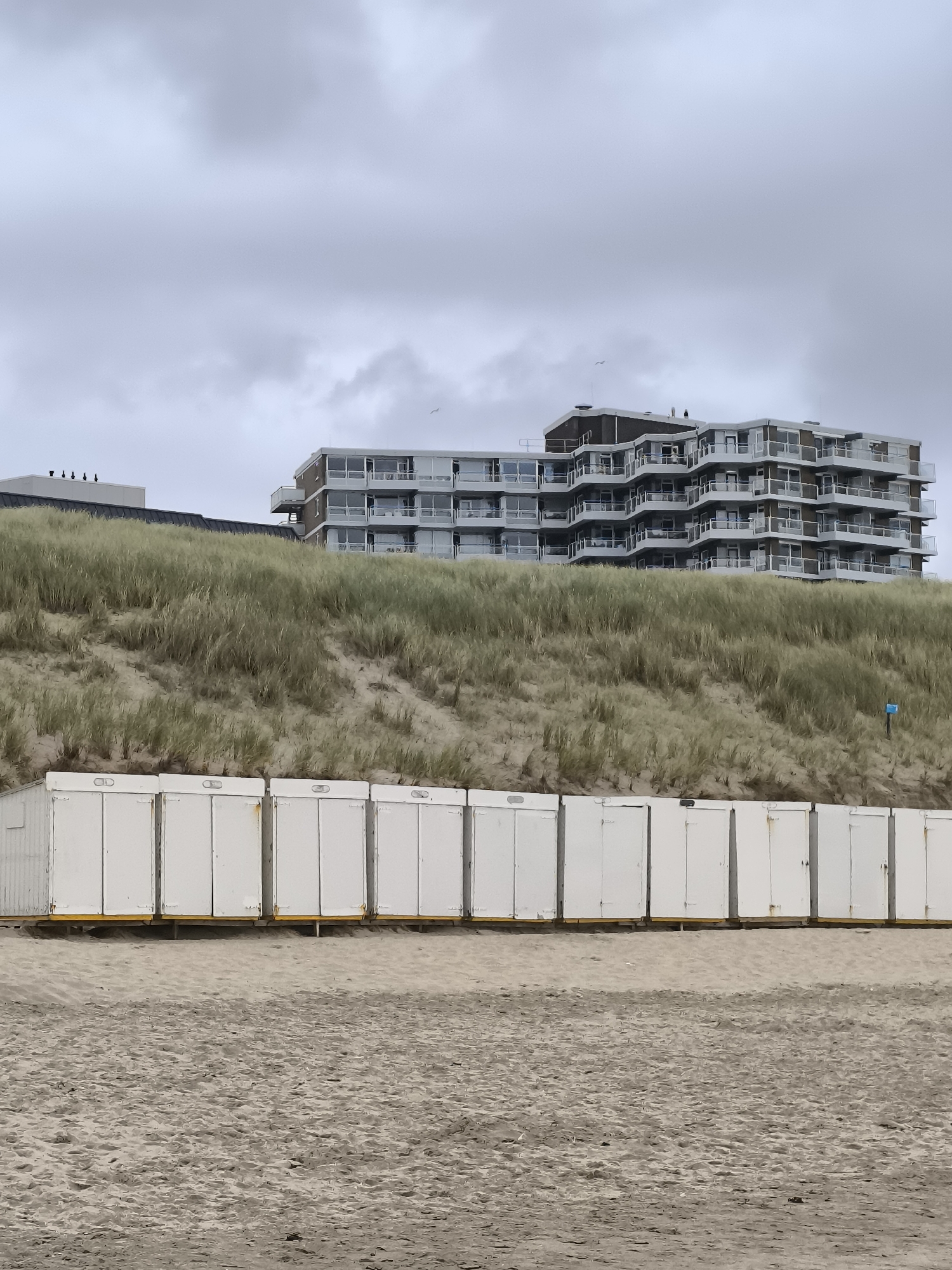 The image depicts a coastal scene with a row of identical white beach huts in the foreground, situated on a sandy beach. Behind the huts, a grassy dune slopes upwards, partially obscuring a multi-story apartment building with numerous balconies and windows. The sky is overcast and grey. The beach huts appear to be uniformly white with dark-colored doors and a subtle yellow trim at their base. The dune is covered in dry, yellowish-green grass. The apartment building is modern in design, with a stepped facade and balconies. The overall environment suggests a slightly chilly or overcast day at the coast. The location is the city of Bergen, Netherlands, specifically its beach area. There are no people visible in the frame.