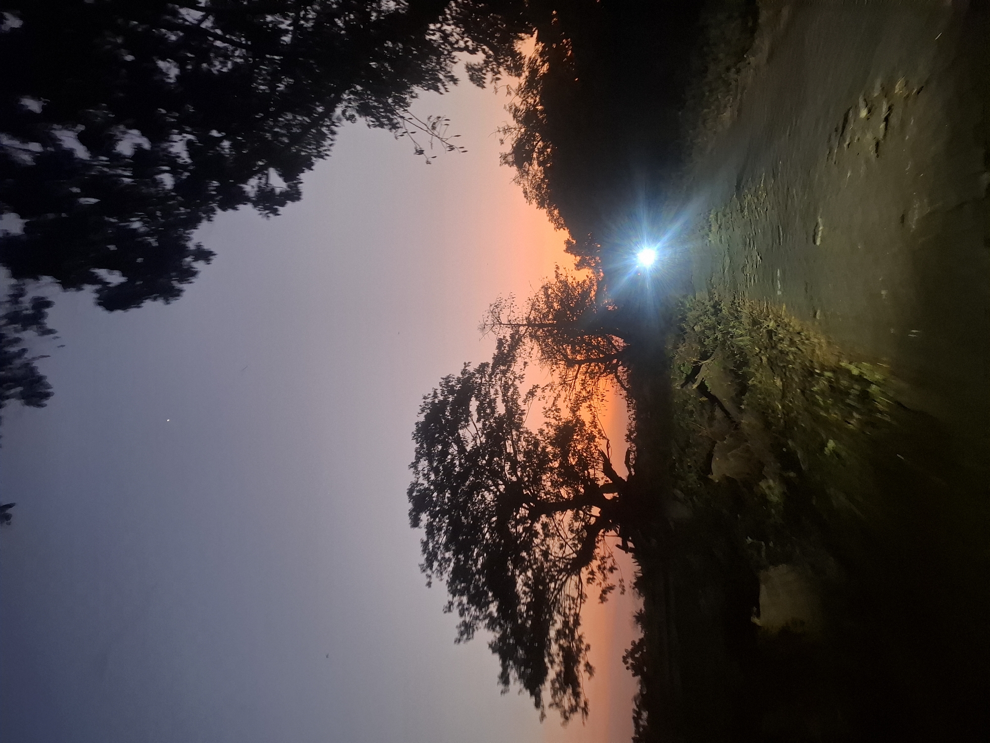 This is a photograph of a dirt road in Brangsi, Indonesia, taken during twilight. The sky is a gradient of purple and orange, with a single star visible. Silhouettes of trees frame the scene, with a large, leafy tree dominating the left side of the frame. A bright light, possibly from a vehicle's headlight, illuminates the road ahead, creating lens flare and casting shadows. The road appears uneven and worn. The overall atmosphere is serene and slightly mysterious due to the low light and the presence of the light beam.