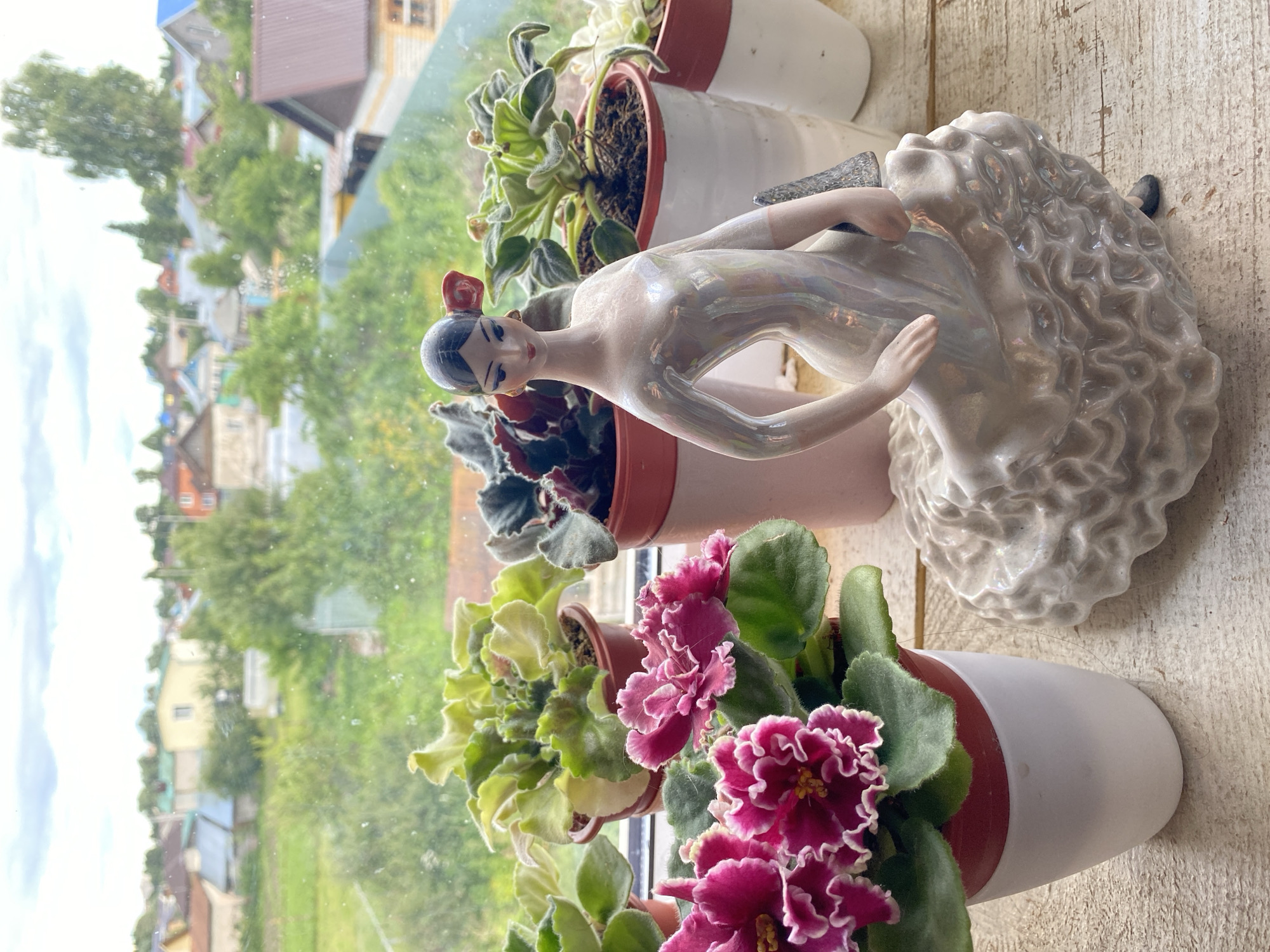 A porcelain figurine of a woman in a shimmering, iridescent dress is positioned on a wooden surface next to potted African violets. The figurine depicts the woman with dark hair pulled back and a red bow, her eyes closed and her body gracefully arched. She appears to be in motion, possibly dancing, with her arms outstretched. Her elaborate, curly hair is a prominent feature, rendered in a textured, voluminous style.
The African violets are in various stages of bloom, with some showcasing vibrant fuchsia-colored petals edged in white. Their fuzzy green leaves are clustered around the colorful flowers. The plants are in simple pots, some white and some terracotta-colored, and are arranged on what appears to be a windowsill.
Through the window behind the figurines and plants, a view of a residential area is visible. The scene outside includes houses with colorful roofs, trees, and green lawns, suggesting a rural or suburban setting. The lighting indicates it is daytime, and the slight blurriness of the background implies either a shallow depth of field or a slightly overcast sky. The overall impression is one of domestic tranquility, with decorative elements placed to enjoy the view outside. No visible text is present in the image. The location is identified as Zelenodol'sk, Russia.