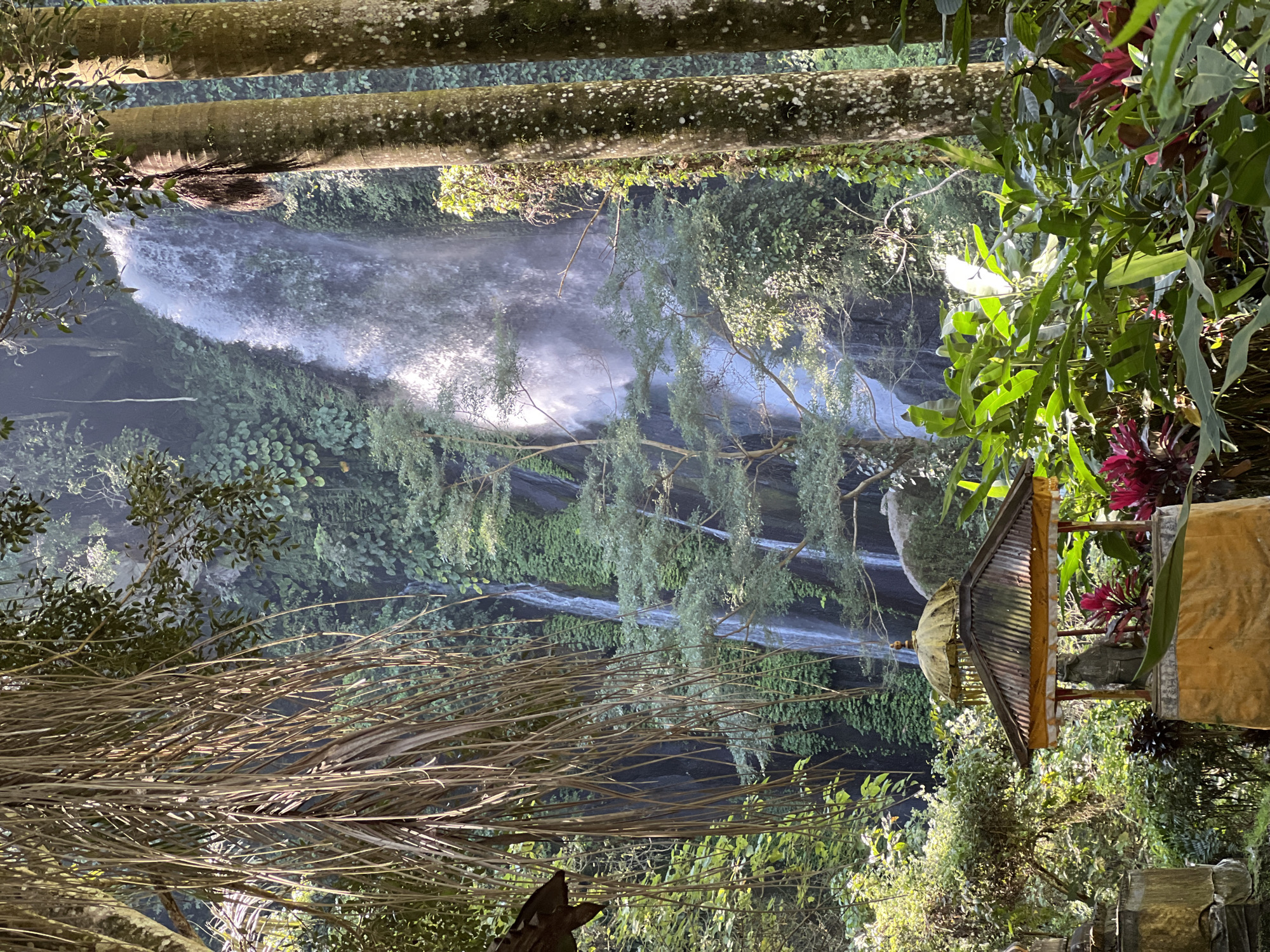 This is a medium shot, eye-level, vertical, outdoor, natural light, full shot of a waterfall in Busungbiu, Indonesia. The waterfall is in the background, cascading down a rocky cliff face covered in lush green foliage. Two large palm trees stand in the foreground on the right, their trunks covered in moss and lichen. In the lower foreground, a small, traditional Balinese shrine with a tiered roof and yellow fabric is visible, containing a statue. Bright red and green tropical plants frame the lower portion of the image. The scene is vibrant and serene, with the mist from the waterfall creating a soft glow.