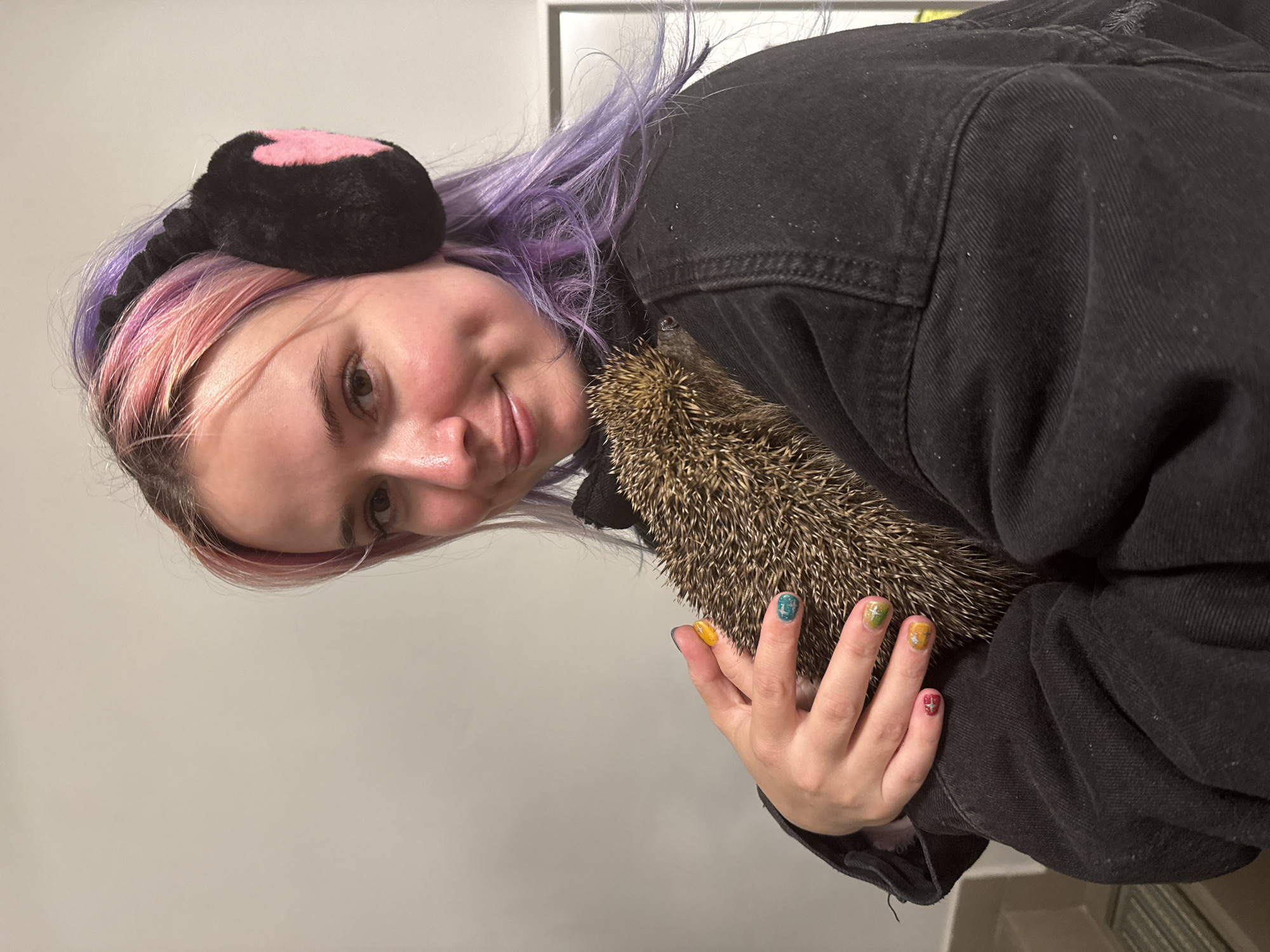 An individual, appearing as a young adult female, is depicted indoors in the City of Zagreb, Croatia. She possesses hair dyed in sections of pink and purple, and wears black fluffy earmuffs featuring a pink heart emblem on the visible right ear. Her fingernails are adorned with various colored polishes and star designs. Dressed in a dark denim jacket, she holds a brown hedgehog with prominent quills against her upper torso. The individual exhibits a slight smile and looks directly forward. The background consists of a plain light grey wall, with a segment of a white-framed object visible on the right and a partial view of stairs and a green mat in the lower left.