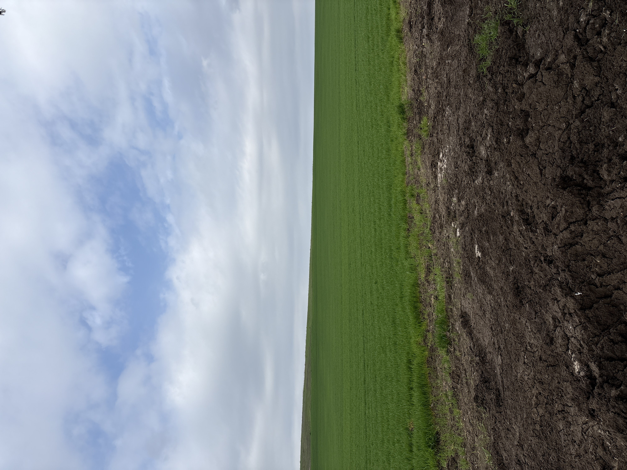 The image depicts a field divided into thirds: a section of blue sky with clouds, a patch of green grass, and dark soil. The location of the image is not evident within the visual context. The photo shows a green field next to bare tilled ground with a slightly cloudy sky above.