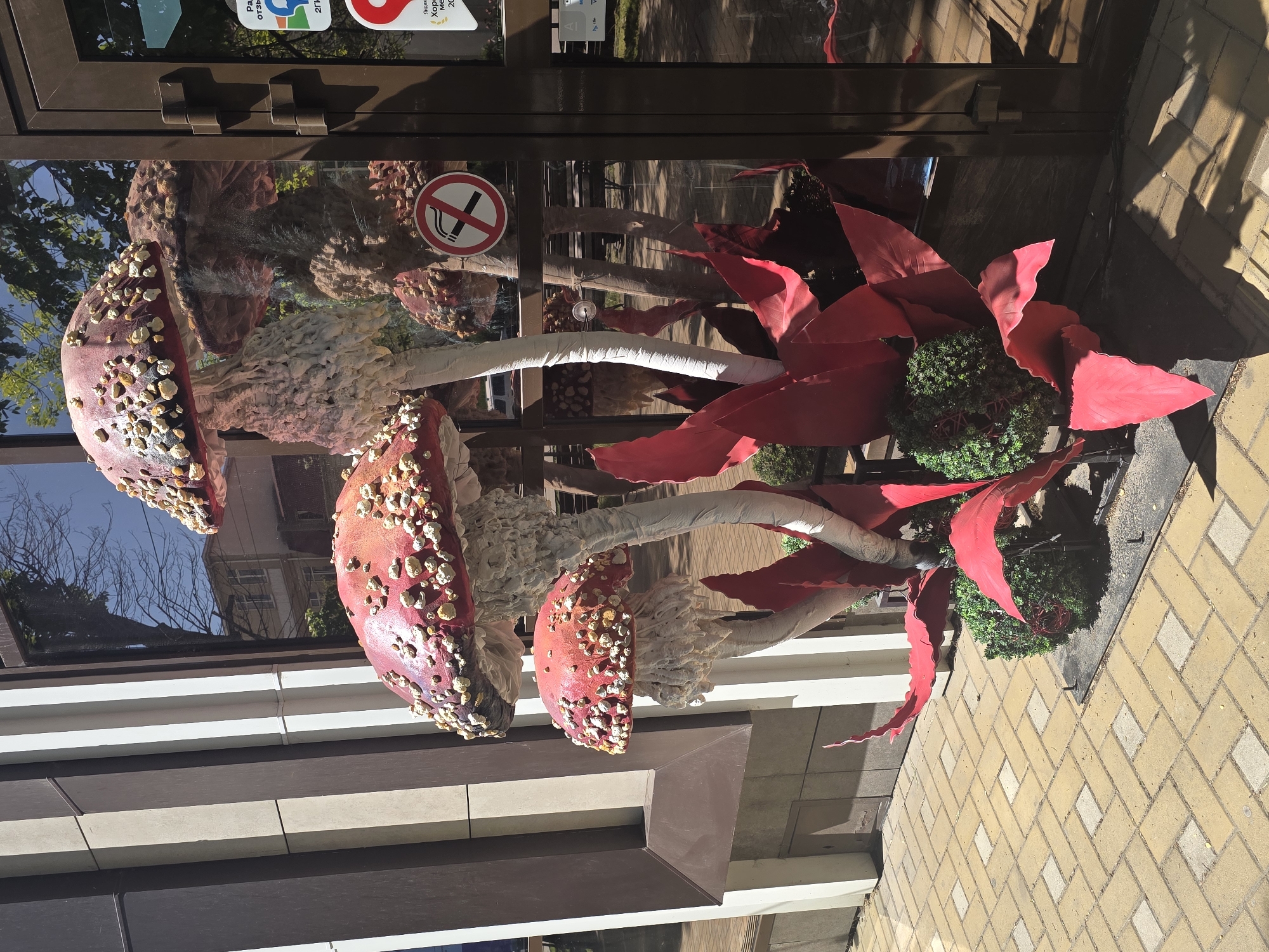 The image depicts an outdoor display in Krasnodar, Russia, featuring oversized, artificial fly agaric mushrooms (Amanita muscaria) and large red, artificial leaves, positioned behind a glass window or door. A "No Smoking" sign is affixed to the glass. The setting appears to be urban, evidenced by the sidewalk made of tan rectangular brick and a building facade with horizontal white and brown panels. Reflections in the glass show another building across the street and a sunny day.