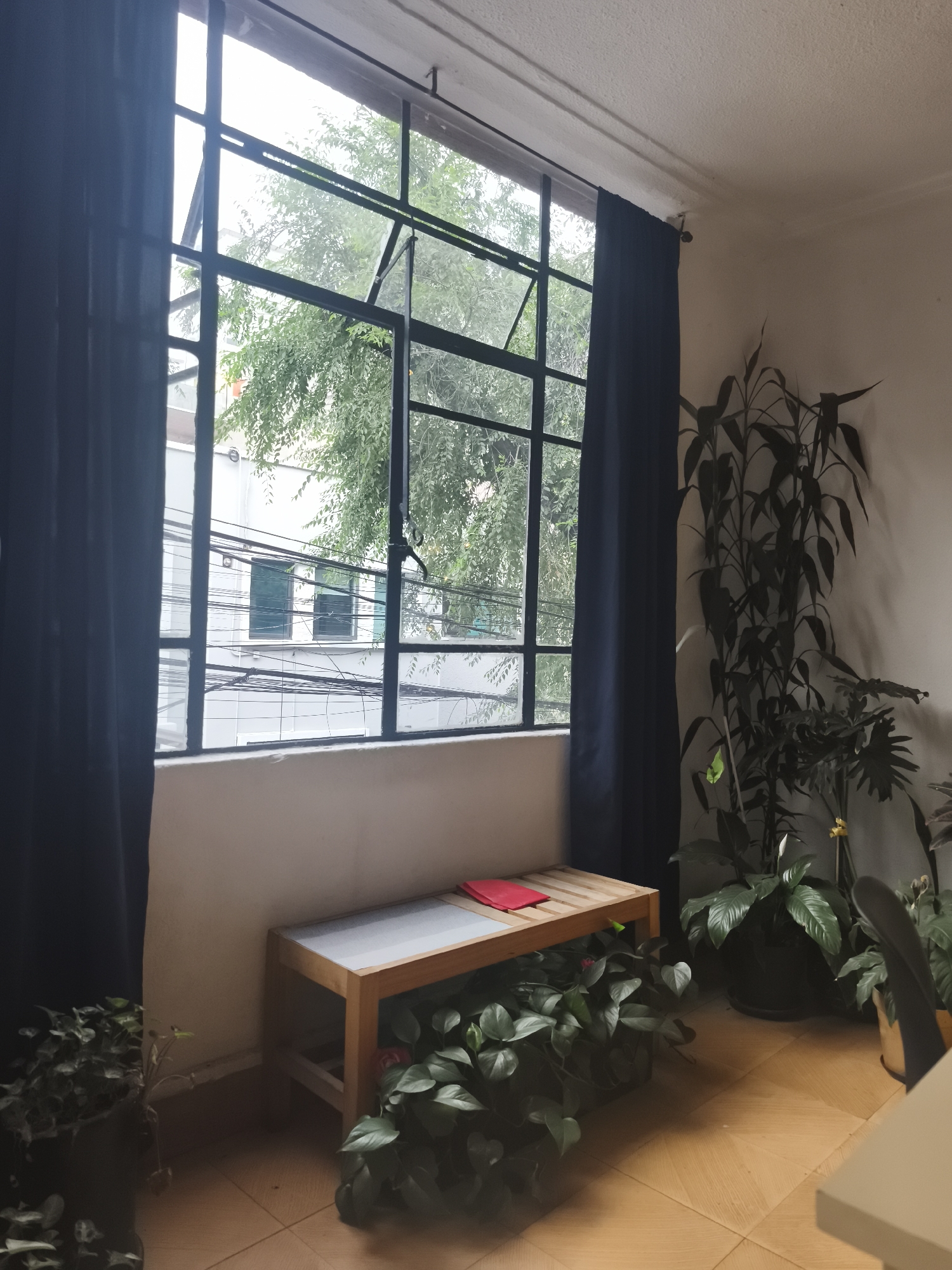 The interior of a room is displayed, with a focus on a large window and surrounding elements. The window, divided into multiple panes, is partially open at the top and provides a view of a street with buildings and green trees outside. Dark blue curtains are drawn on either side of the window.
Beneath the window is a wooden bench or table with a grey or white top. A red object rests on top of the bench, and plants with leafy green foliage fill the space beneath it. The flooring is composed of light brown tiles.
To the right of the window, a variety of potted plants are situated, including a tall, slender plant with dark green leaves, and a peace lily with a white flower. The room's walls are painted in a neutral tone.
Based on the architectural style and the presence of a type of window common in older structures, the location is likely in Mexico City, Mexico. The image is a simple interior shot without visible human presence or apparent activity.