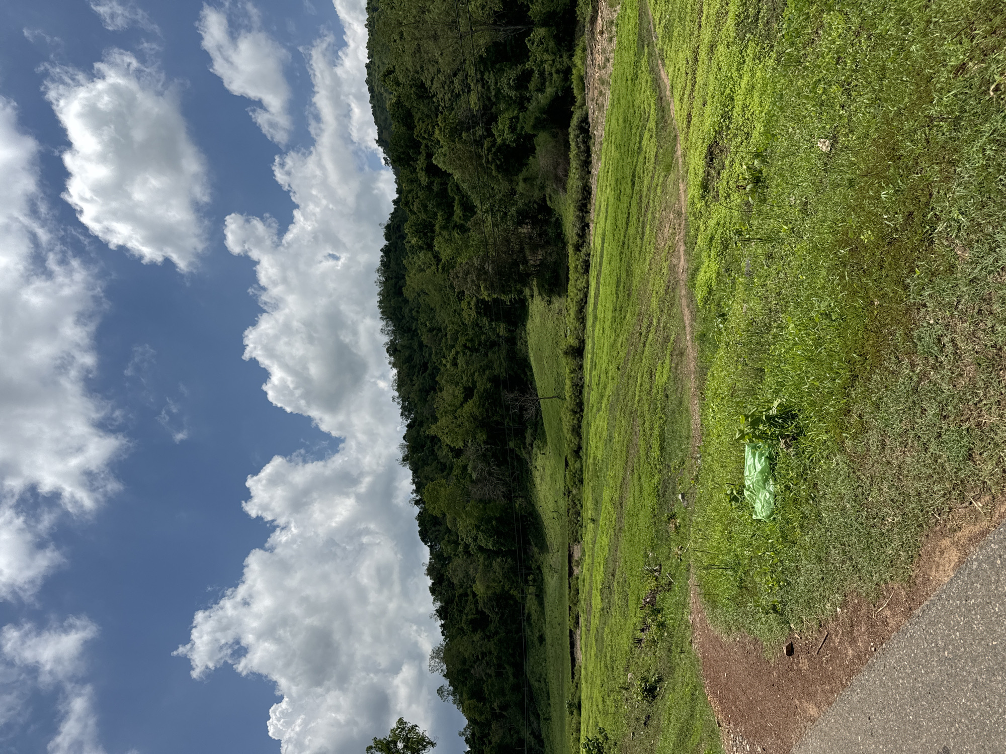 This is a landscape image taken in Ham Thuan Bac, Vietnam. The scene depicts a lush green valley with a dense forest covering a hillside in the background. The sky above is a vibrant blue with scattered white cumulus clouds. A dirt path curves into the frame from the lower left corner, bordering a field of green grass. There is a piece of bright green plastic debris on the grass near the path. The overall impression is one of a natural, rural environment under a bright, partly cloudy sky.