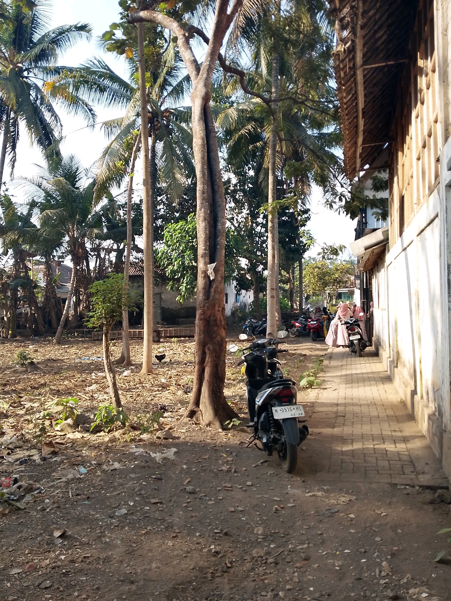 In the city of Rejoyoso, Indonesia, this outdoor scene depicts a narrow, paved walkway bordered by a building on the right and a natural area on the left. Several palm trees dominate the left side of the frame, with a large, textured tree trunk in the foreground. The ground is covered in dry leaves, dirt, and scattered debris. The building on the right has a wooden roof and windows. A few motorcycles are parked on the walkway, and two individuals are present near the motorcycles, one standing and another seated on a motorcycle. The atmosphere is sunny.