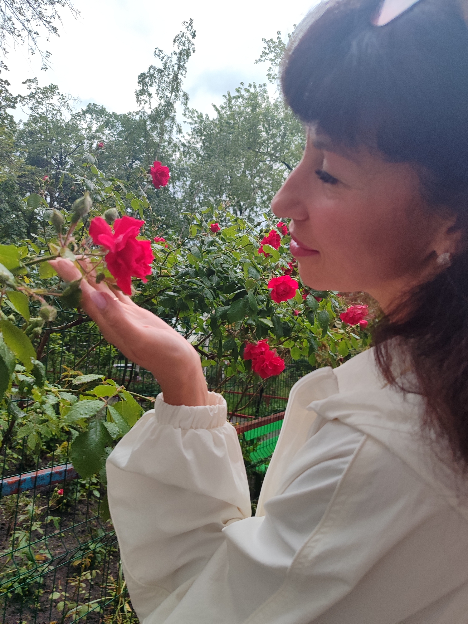 A female, adult subject is depicted in profile, facing left from the right side of the frame. She has dark hair and her eyes are downcast. Her left hand extends towards a red rose, gently supporting its stem as it is positioned near her face. She is wearing a light-colored, possibly white, long-sleeved garment with a gathered, elasticated cuff visible on her left arm. A small, light-colored earring is present on her right earlobe.
The foreground and midground feature a rose bush with multiple red roses in bloom and in bud form. Water droplets are visible on the rose petals and green leaves. Behind the bush, a green metallic mesh fence with horizontal blue and green bars is visible. The background consists of dense green foliage from numerous deciduous trees under an overcast, bright sky. The scene is an outdoor garden or park setting. The specific location within the city of Kyiv, Ukraine, is not identifiable from the visual information provided.