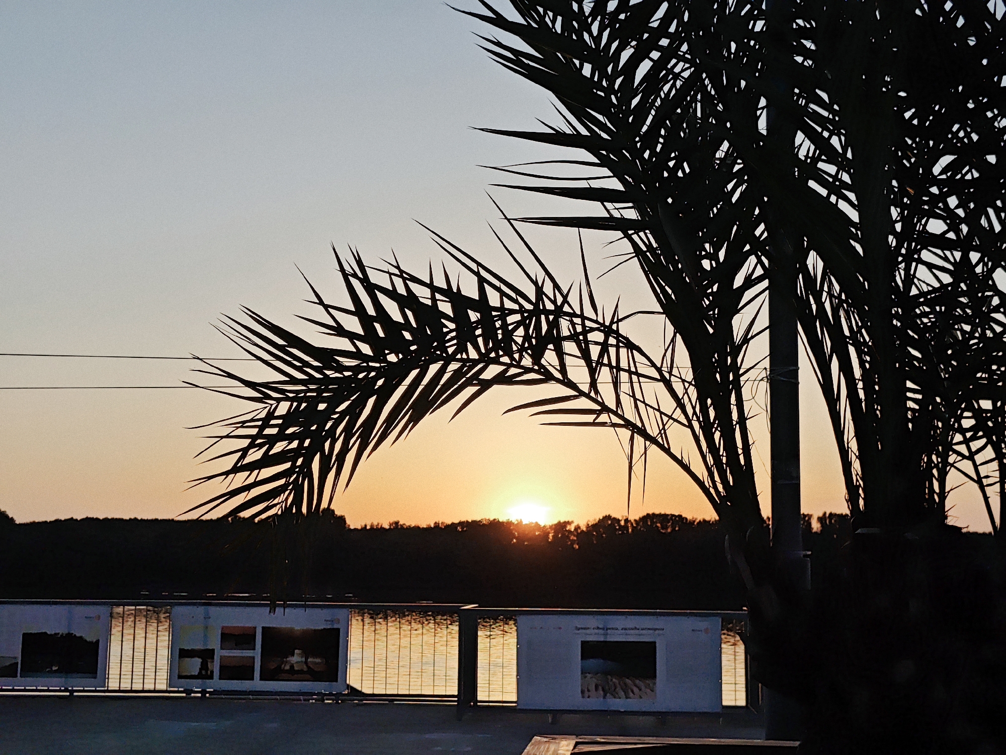 An outdoor scene captures a sunset over a body of water, framed by the silhouette of palm fronds in the foreground. The sun is partially visible on the horizon, casting an orange glow. Along the edge of the water, a railing supports several framed exhibits or photographs. The background consists of a dark silhouette of trees against the fading light. The sky transitions from a pale blue at the top to a warm orange near the horizon.