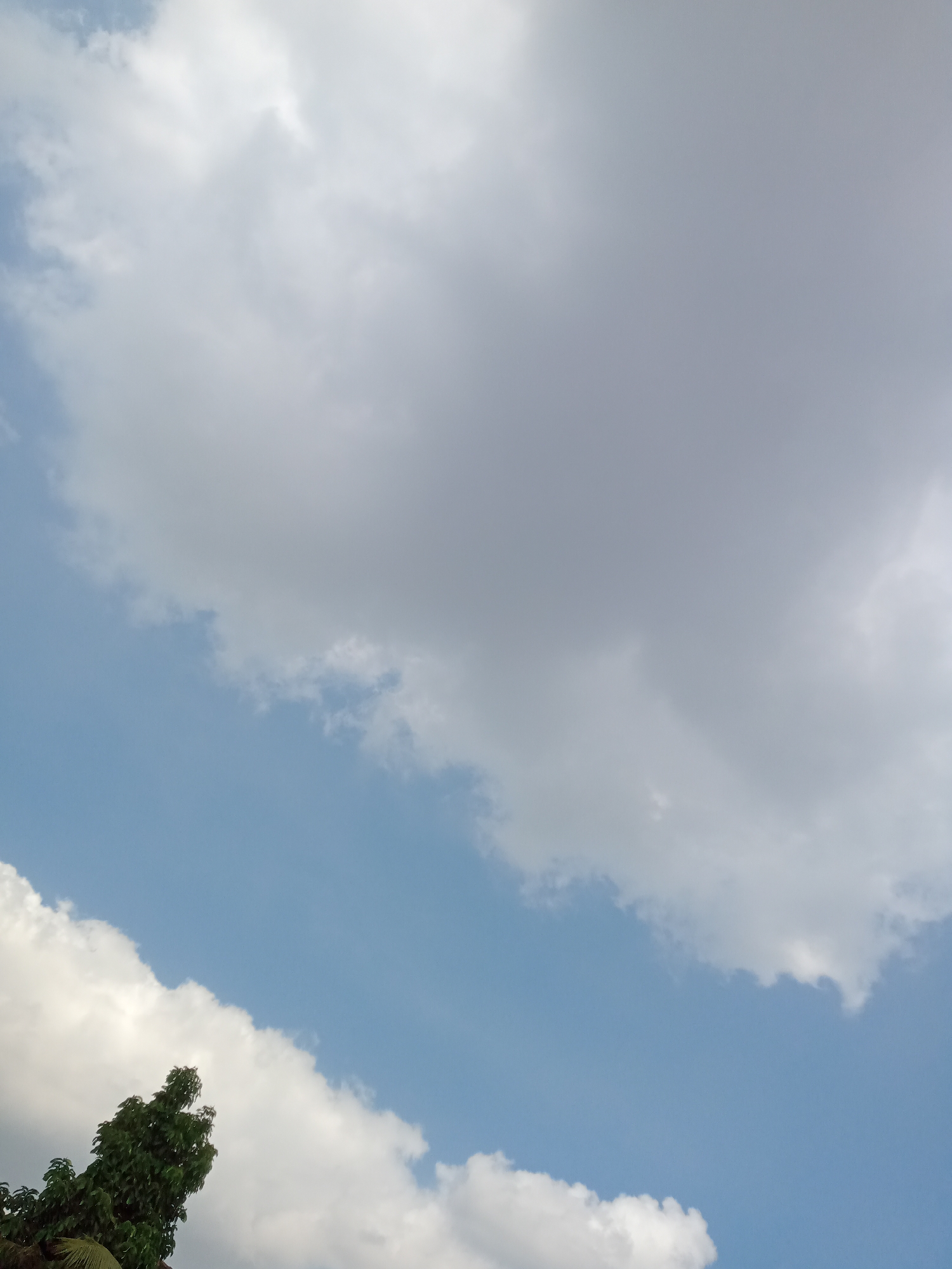 A wide-angle shot captures a bright blue sky filled with fluffy white and gray clouds. In the lower left corner, the top of a lush green tree is visible, its leaves catching the sunlight. The image appears to be taken outdoors in Simo, Indonesia, likely on a clear day with some cloud cover. There are no people or animals in the frame. The environment is natural and serene, with the focus on the expansive sky and a hint of earthly greenery.
