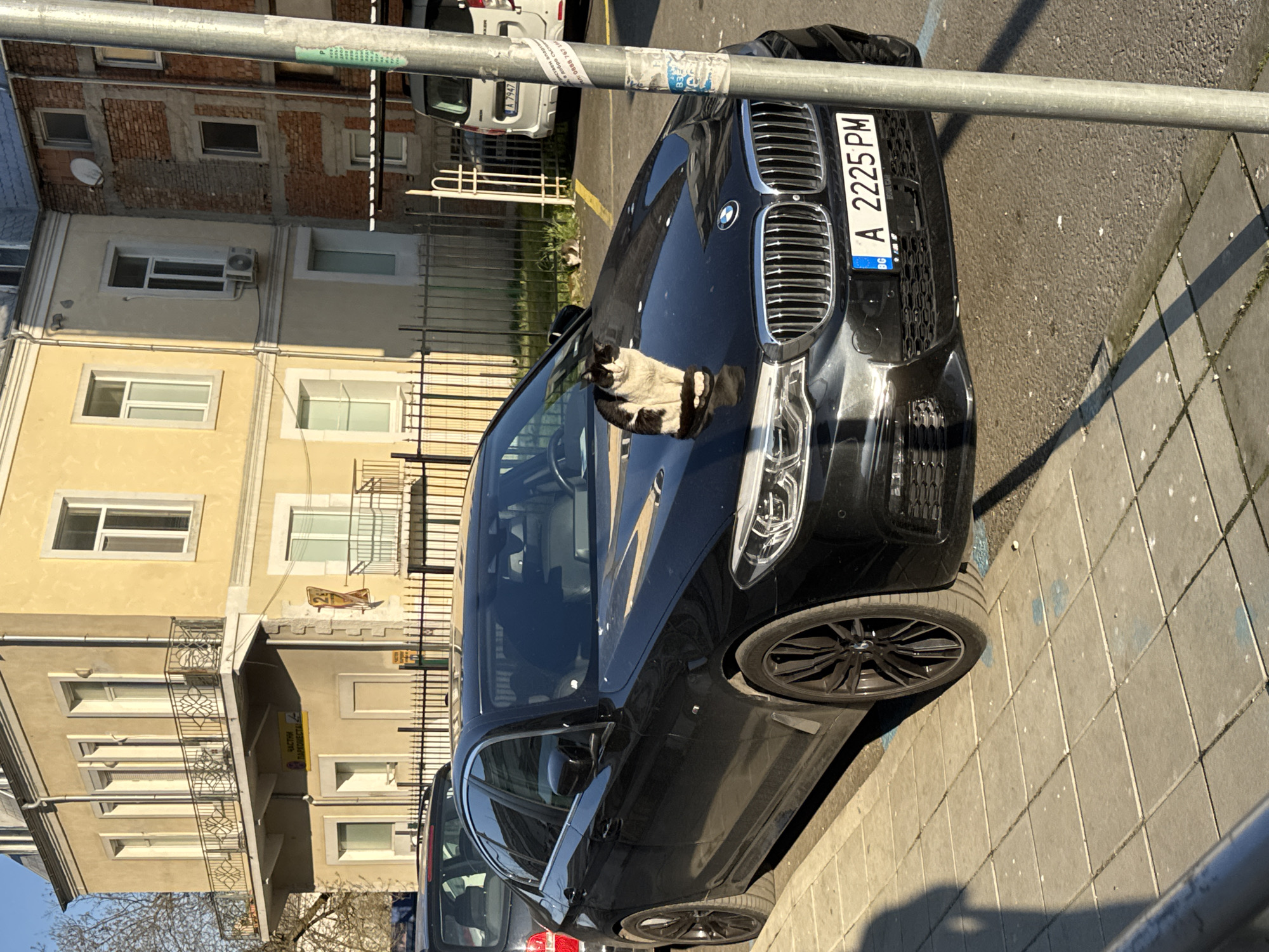 The image shows a black BMW sedan parked on a street in Burgas, Bulgaria. The car has a Bulgarian license plate reading "A 2225 PM." A black-and-white cat is sleeping on the hood of the car near the windshield. In the background, there are apartment buildings with windows and balconies, typical of urban residential areas. A street pole is visible in the foreground. Another car can be seen parked behind the BMW.