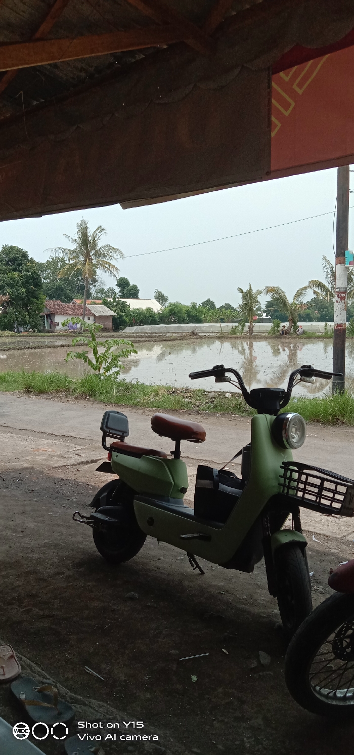 A light green scooter with a brown seat and basket stands under a dark overhang. The background features a flooded rice field with trees and a couple of houses visible in the distance. A power pole is seen to the right of the image. Part of another red vehicle's wheel is visible on the right side of the frame, next to the scooter. The sky is overcast.