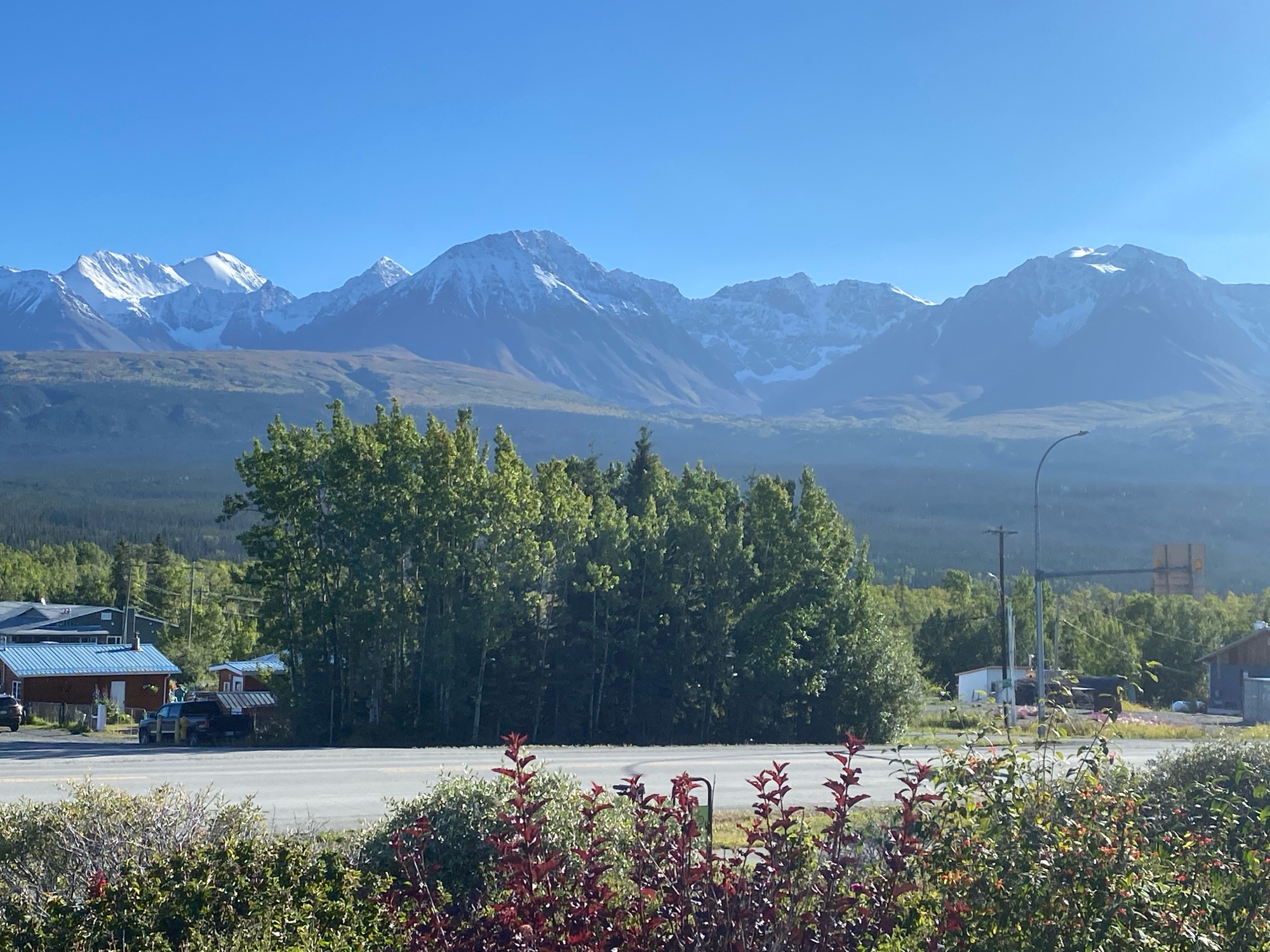 The image depicts a panoramic view of Haines Junction, Canada, with snow-capped mountains in the background under a clear blue sky. In the foreground, a paved road runs horizontally across the frame, bordered by lush green bushes and plants with red leaves. To the left of the road, several buildings with blue roofs are visible, including a dark red house. A black truck is parked in front of one of the buildings. A cluster of tall green trees stands behind the buildings. To the right of the trees, a street lamp and a road sign are visible, along with more buildings and dense green foliage. The overall scene suggests a bright, sunny day in a rural or semi-rural setting.