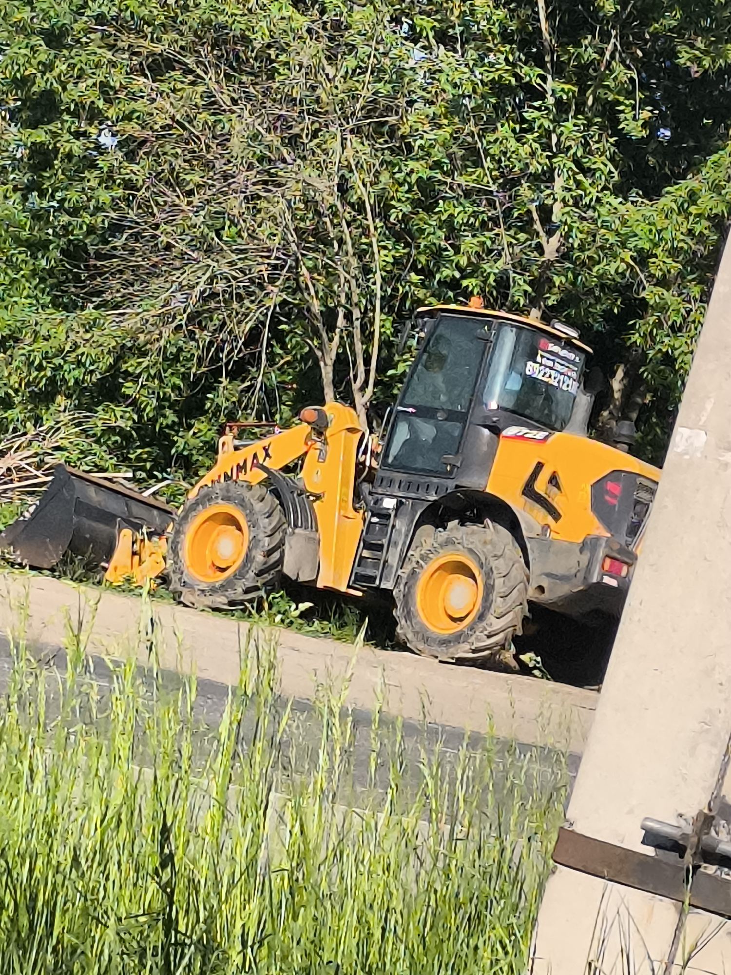 A yellow-orange "UNMAX" front-end loader is parked at an angle on a narrow asphalt or concrete road in Unknown, Unknown, with the bucket angled to the left. The loader is positioned near a large tree, partially obscured by the branches. Tall grass obscures the lower portion of the foreground, and a utility pole is visible on the right side of the frame, running diagonally across the image. The lighting suggests a bright, sunny day.