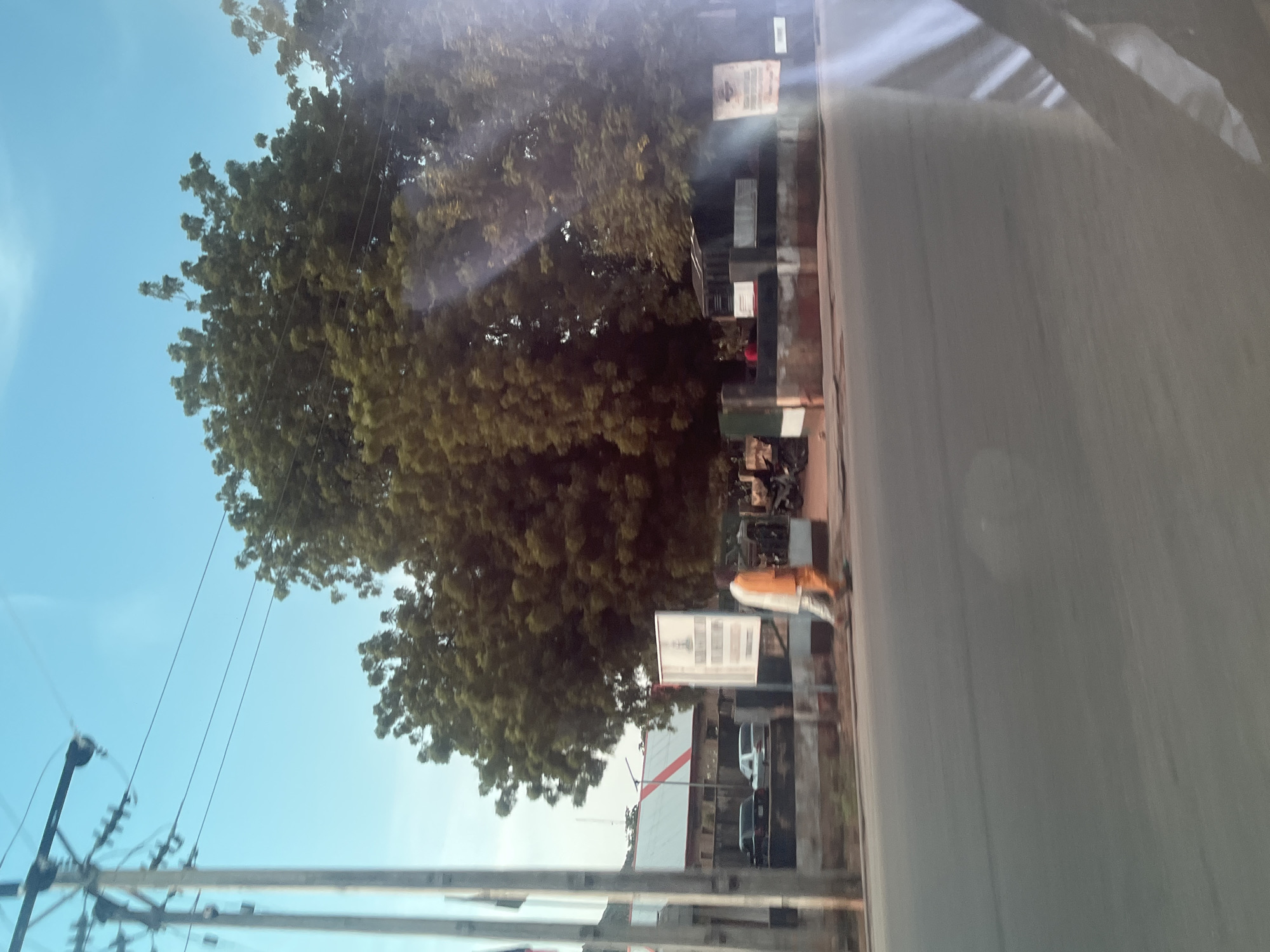 The image, taken in Jalingo, Nigeria, depicts an outdoor scene with a large, leafy tree dominating the left side. The tree's dense foliage suggests it is daytime, likely sunny given the bright light reflecting off surfaces. A clear blue sky is visible above the tree.
On the right side of the image, a paved road runs parallel to the tree. Along the roadside, there are signs, poles, and what appear to be buildings or structures. There is also evidence of electrical infrastructure, with power lines and poles visible in the foreground and extending towards the tree.
A notable detail is the presence of a person, partially visible, walking or standing near the signs. This individual is wearing an orange garment. Further in the background, several vehicles, including what looks like a motorcycle and cars, are parked or moving.
The image appears to be taken from a moving vehicle, as evidenced by the reflections on the surface on the right side, and the slightly blurred nature of some elements. The overall impression is of a typical street scene in a Nigerian town, with natural elements like the tree alongside man-made structures and infrastructure. No discernible text is visible on the signs.