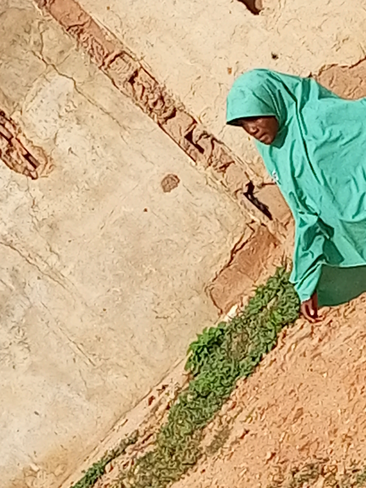 A young person wearing a turquoise hijab and clothing looks down to their right, their face partially obscured by shadow. They are standing next to a rough, textured wall made of light-colored plaster with visible brickwork and some reddish-brown sections. Green foliage grows along the base of the wall, transitioning to sandy ground. The scene appears to be outdoors in an arid environment, possibly a street or alley in Tempure, Nigeria. The lighting suggests it is daytime.