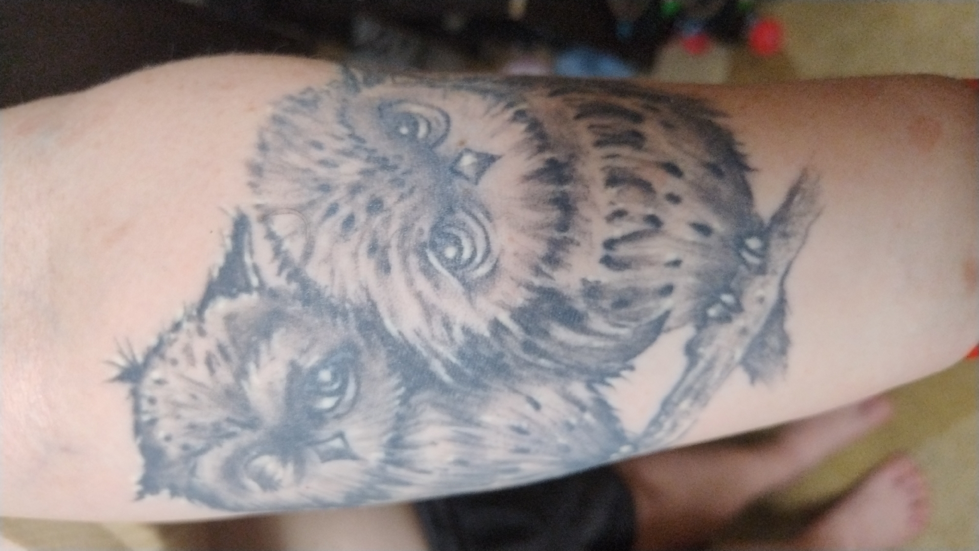 A black and grey tattoo of two owls perched on a branch is visible on a person's arm. The owls are depicted with detailed feathers and large, expressive eyes. The background is a plain, light-colored surface, possibly skin. The lower part of the image shows a blurred view of a person's legs and feet, with one leg wearing dark shorts. The scene appears to be indoors, with some objects in the background suggesting a domestic environment, possibly in the city of Mykolaiv, Ukraine.