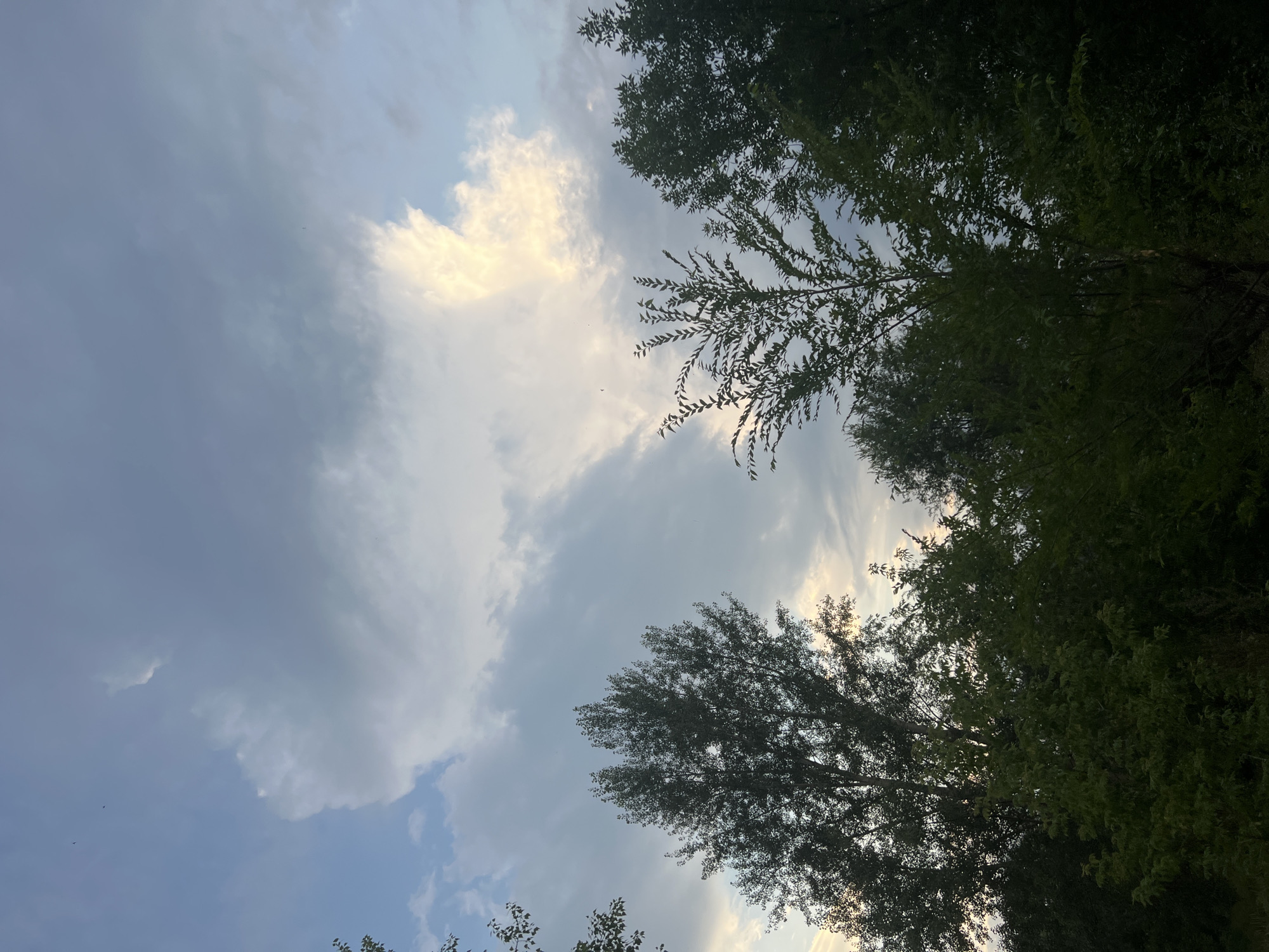 The image shows a cloudy sky above a dense canopy of trees. The sky is a mix of blue and grey clouds, with some areas of bright white and yellow light suggesting the sun is setting or rising. There are no visible people or man-made structures, and the scene appears to be a natural landscape. There is no information in the image to suggest it is located in Ulyanovsk, Russia.