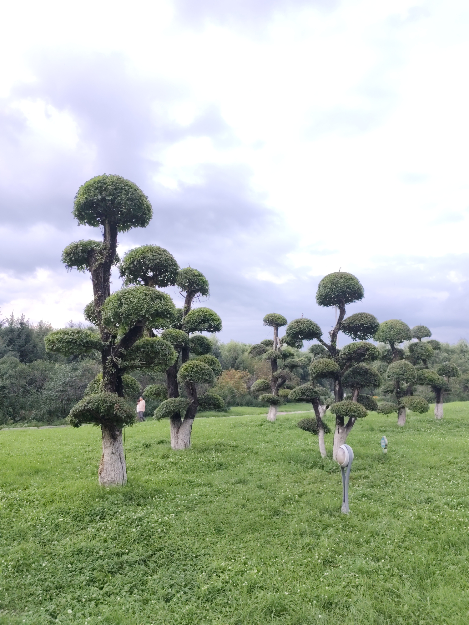 The image shows a park with several topiary trees, which are meticulously pruned to resemble round, layered shapes. The trees have thick, greyish-white trunks and are planted in a grassy field. In the background, there is a dense forest of green trees. The sky is overcast with grey clouds. Two people are visible walking in the middle ground of the park. In the foreground, there is a modern-looking gray lamp post with a white light fixture. The scene is located in a park in 幸福乡, China.