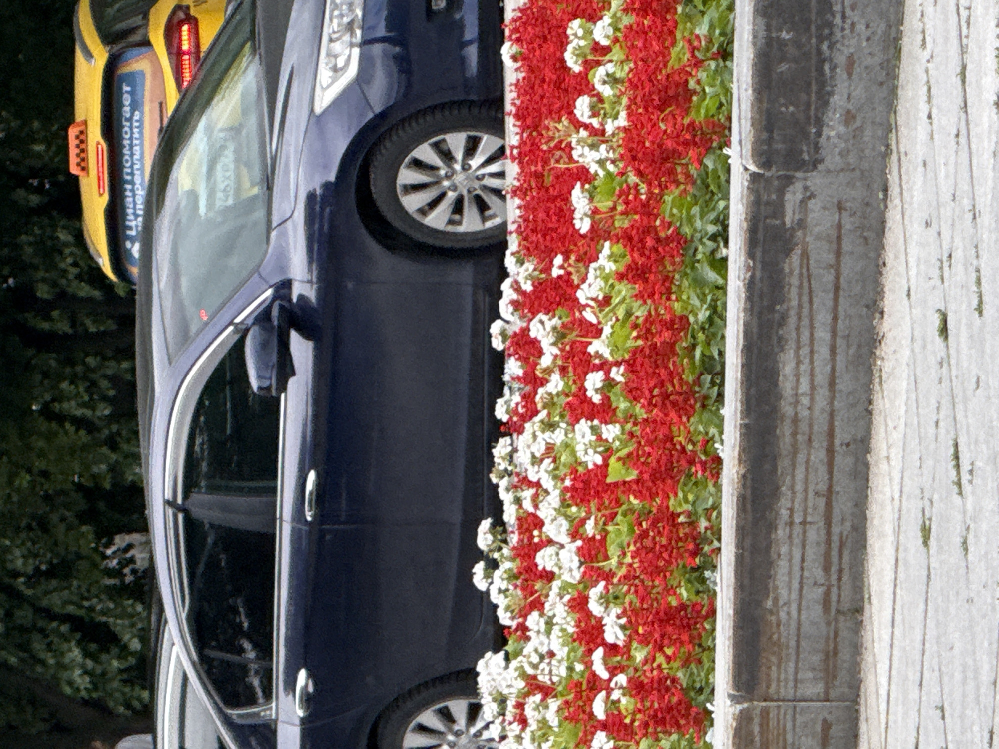 The image shows a dark blue sedan parked in front of a flowerbed filled with red and white flowers. Behind the sedan, a yellow taxi is visible with a sign on its roof. The taxi has text on its rear window in Russian. The cars appear to be parked on a street in Moscow, Russia, with trees in the background. The focus of the image is on the cars and the flowers, with a concrete barrier in the foreground.