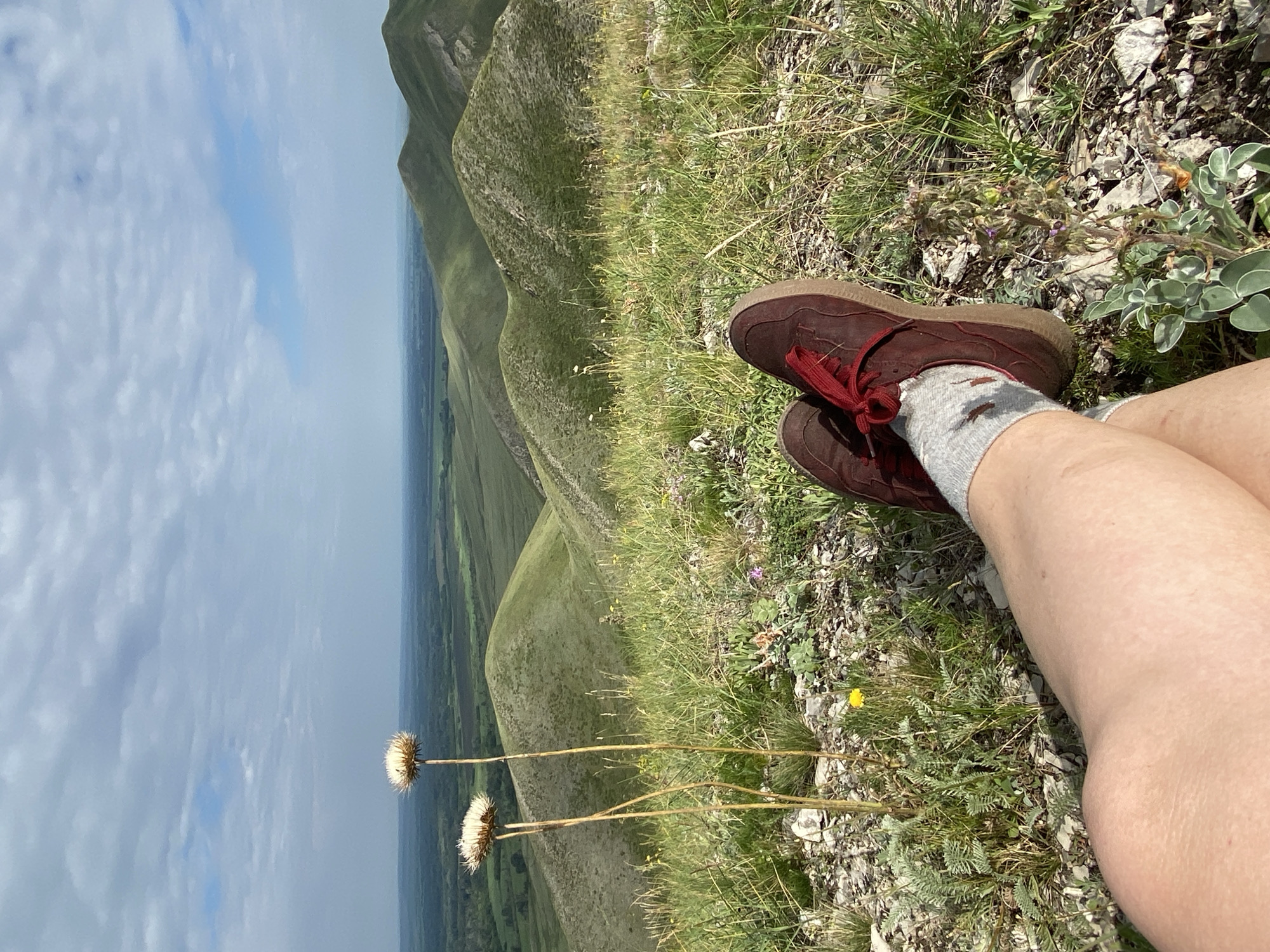 The image is a first-person perspective shot from a high vantage point overlooking rolling green hills. In the foreground, a person's legs and feet, clad in gray socks and brown shoes with red laces, are crossed. Two tall, dry, white seed heads of a plant are prominent on the left side of the frame, along with sparse green grass and some small rocks. The background features a vast, layered landscape of undulating hills stretching towards a hazy horizon under a cloudy sky. The location is identified as Verkhnyaya Chernorechka, Russia.