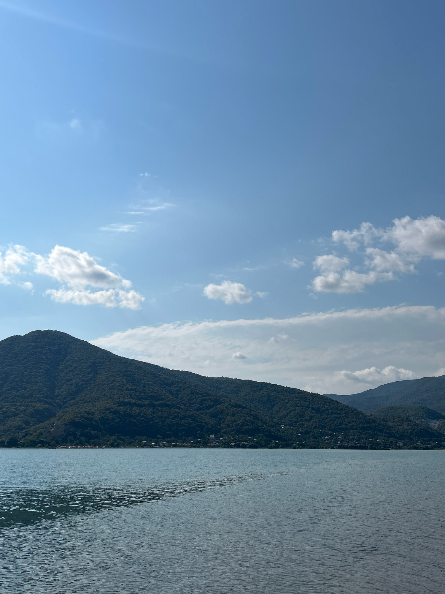 The image depicts a tranquil landscape with a body of water in the foreground and a densely forested mountain range in the background under a bright blue sky dotted with white clouds. The water is calm with subtle ripples on its surface, reflecting the light from the sky. The mountains, covered in a dark green hue from the abundant trees, rise steeply from the waterline. Along the base of the mountains, a scattering of small buildings and houses can be seen, suggesting a human settlement nestled within the natural environment. The scene appears to be a view of the Kvariati reservoir in Pkhundavi, Georgia, a location known for its scenic beauty and natural surroundings. There are no people or animals visible in the image. The overall impression is one of serenity and natural splendor.