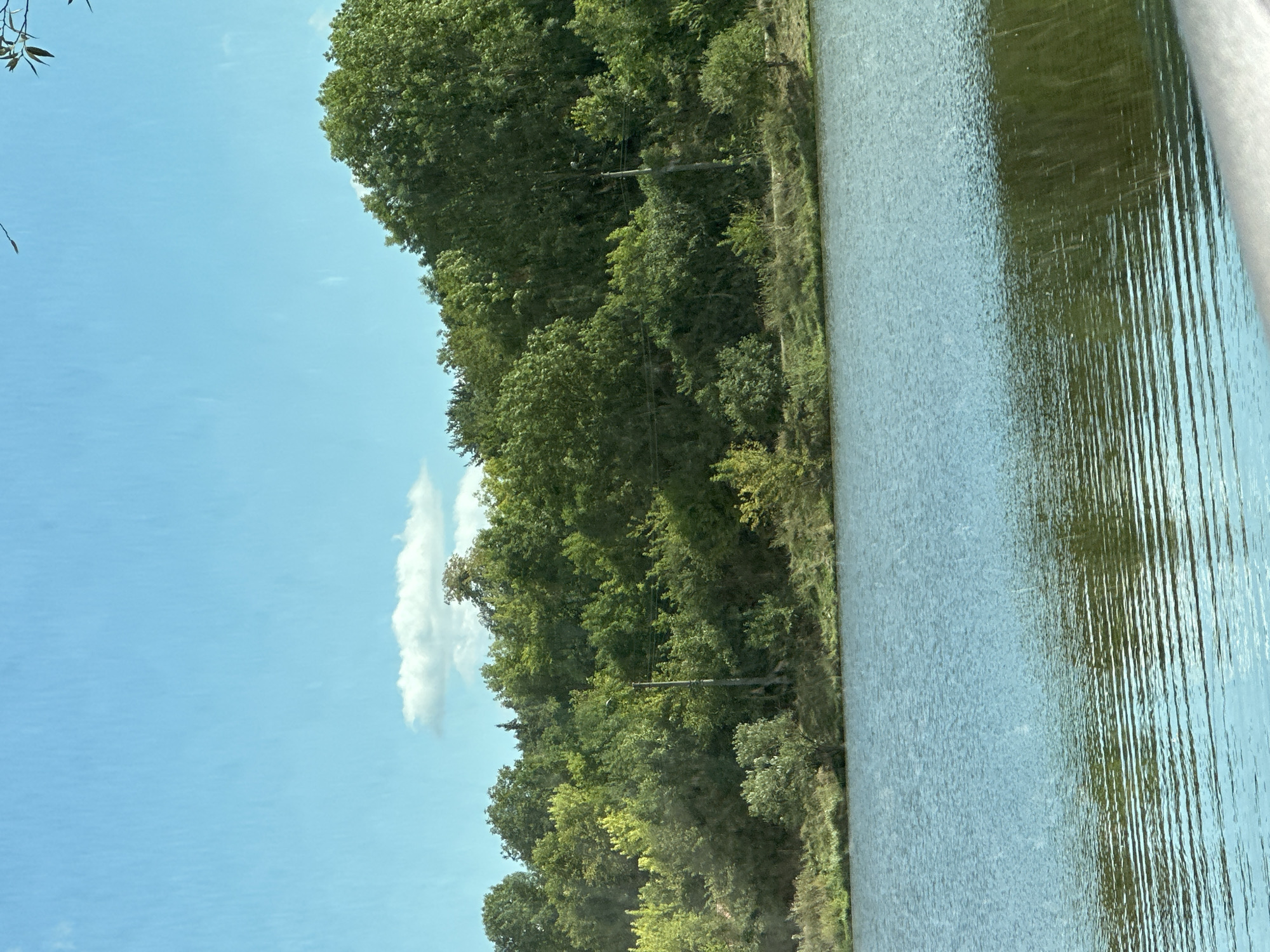 The image depicts a serene natural scene, likely in or near Makiv, Ukraine, featuring a body of water in the foreground and a dense line of trees and foliage forming the background. The water's surface is calm, with subtle ripples reflecting the light and the surrounding greenery. The shoreline is lined with a mix of grasses and smaller bushes, transitioning into a thick canopy of deciduous trees. A solitary utility pole stands out amongst the trees, its structure partially obscured by the foliage. The sky above is a clear blue, with a few wispy white clouds scattered across it, suggesting fair weather. The overall impression is one of a peaceful, undeveloped natural landscape.