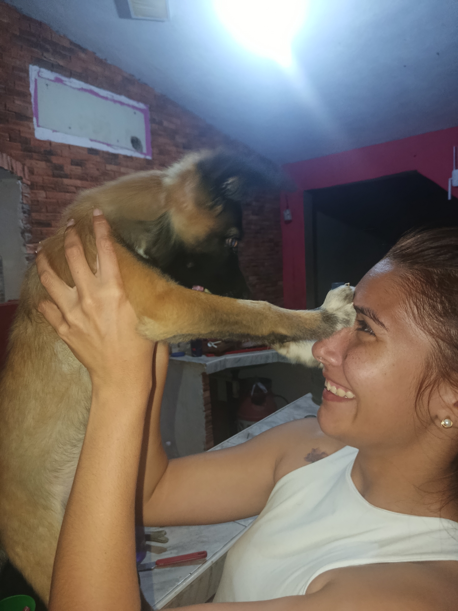 A woman is indoors, holding a Malinois dog in her arms. She is smiling and looking at the dog, which has one paw reaching up towards her face. The woman is wearing a white tank top and has dark hair pulled back. The dog is mostly tan with a dark muzzle. The room has a brick wall and red trim. There is a table in the background with various objects on it. The location is Juan Griego, Venezuela.