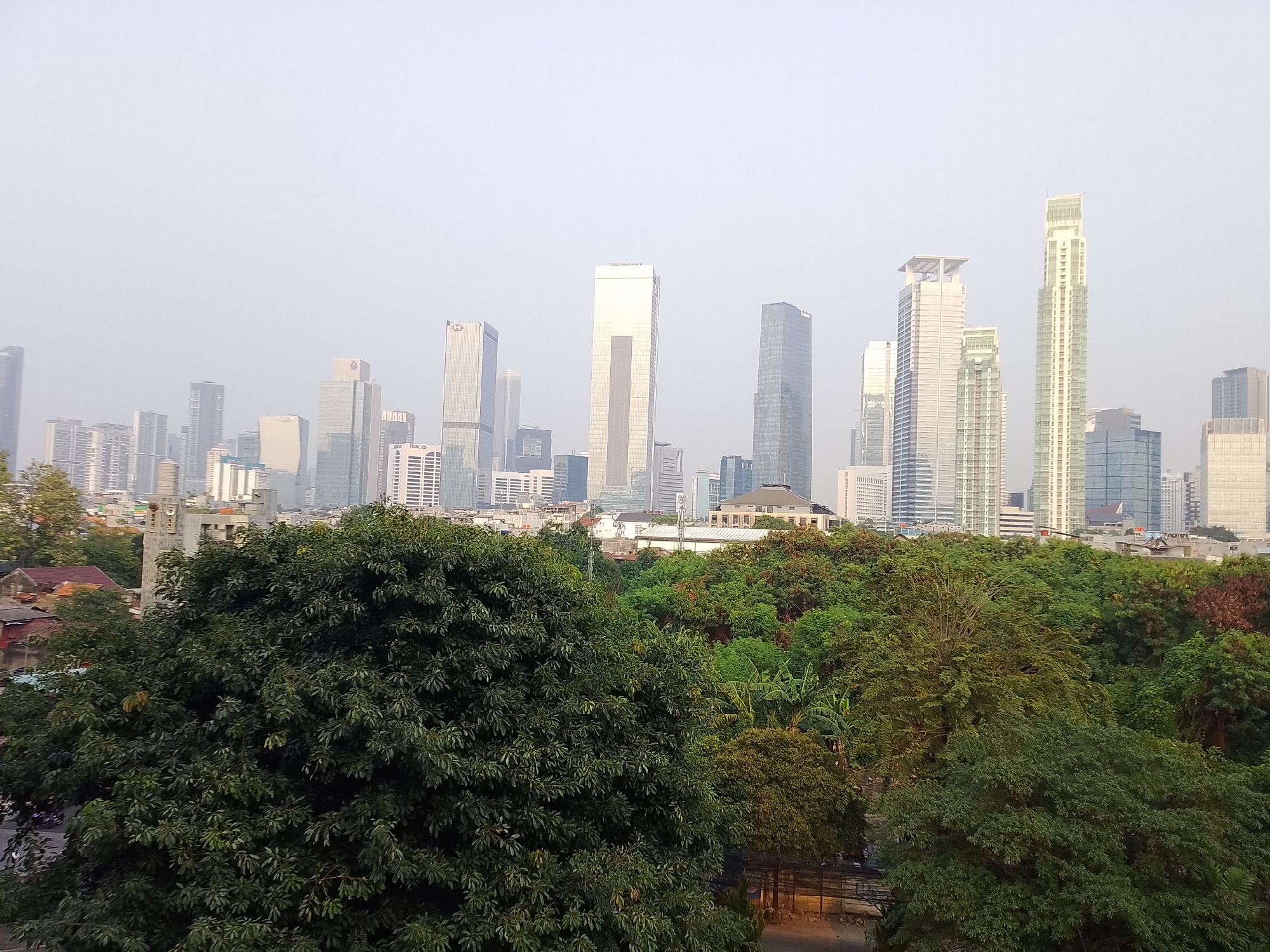 This image depicts a hazy, daytime view of a dense urban landscape in South Jakarta, Indonesia. In the foreground, a large, verdant tree with dark green foliage dominates the lower left portion of the frame, with a smaller, lighter green tree adjacent to it on the right. Behind the trees, a collection of low-rise buildings with red tile roofs can be seen. Further in the background, a modern cityscape emerges, characterized by numerous tall skyscrapers of varying architectural designs and heights. The buildings are a mix of glass and concrete, with some displaying distinct geometric shapes. The sky is overcast with a pale, uniform haze, obscuring any clear details of the horizon or sun. The overall impression is one of a bustling city partially softened by natural elements and atmospheric conditions.
