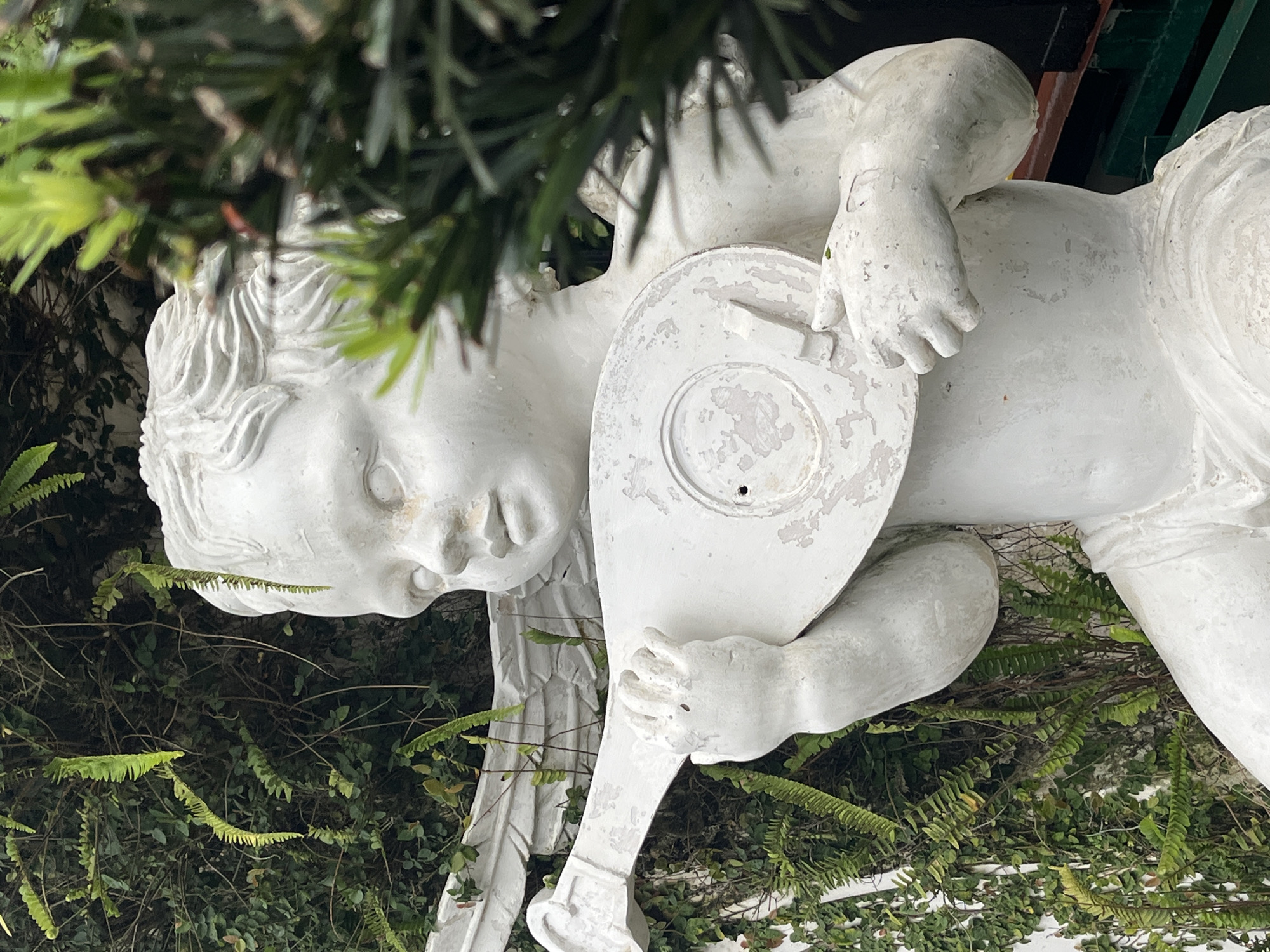 A white, weathered statue of a cherub holding a lute-like instrument stands amongst lush green foliage. The statue, made of stone or concrete, shows signs of age with chipped paint and dirt. The cherub has curly hair, a plump face, and its hands are positioned as if playing the instrument. The background is dominated by vibrant green leaves and vines, suggesting an outdoor setting, possibly in a garden or courtyard. The environment appears damp, with water droplets visible on the statue and leaves. While the specific location in Đà Nẵng is not identifiable from the image alone, such statues are commonly found in public gardens, temples, or private residences within the city.