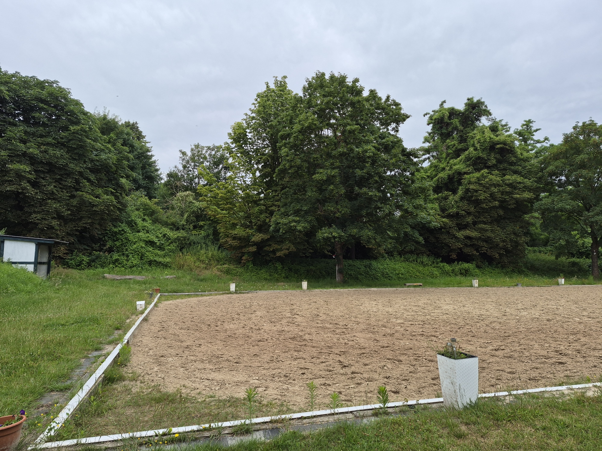 The image depicts an outdoor equestrian arena with a sandy surface, bordered by white trim and grass. The arena is situated in a rural setting with a dense line of trees and foliage forming the background. A small white shed with a dark roof is visible on the left side of the frame, adjacent to a grassy slope. Several white markers are placed around the perimeter of the arena. A white planter with a small plant is located in the foreground on the right. The sky is overcast and a light grey. The location is not specifically identifiable as Brunswick, Germany, based on the visual information provided.