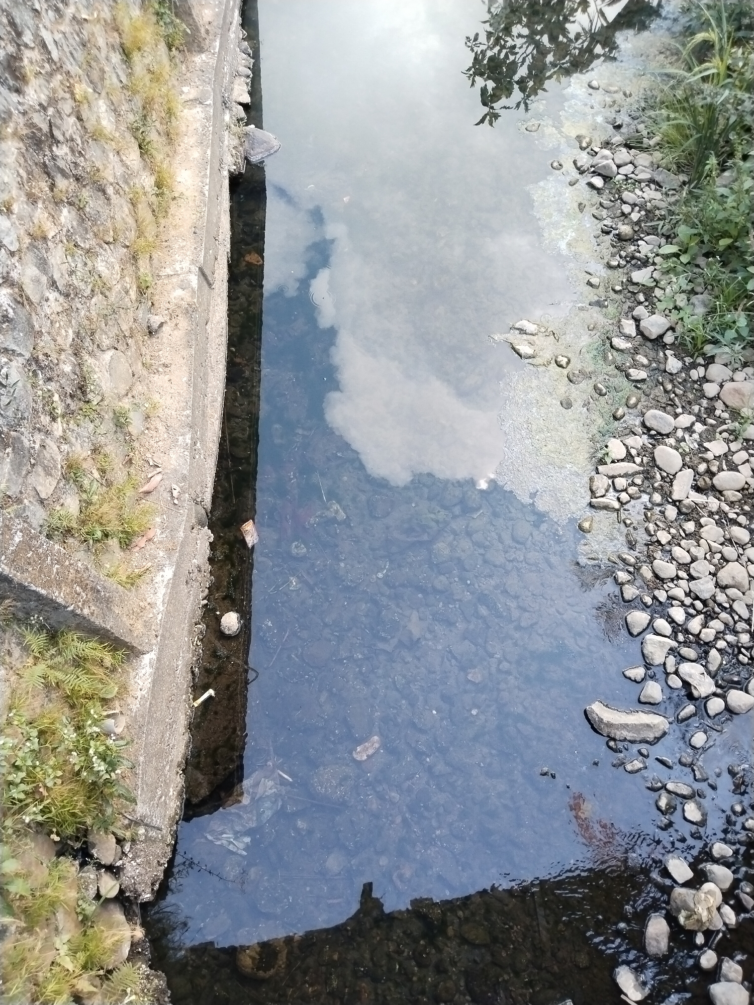A still, overhead shot captures a narrow, murky canal bordering a stone-lined embankment with sparse vegetation. The water, reflecting the sky and some overhanging foliage, is populated by scattered rocks and debris, including plastic bags and other litter. A single turtle is visible on the edge of the embankment, peering into the water. The scene is consistent with an urban waterway in Karanggandu, Indonesia, likely experiencing the effects of pollution.
