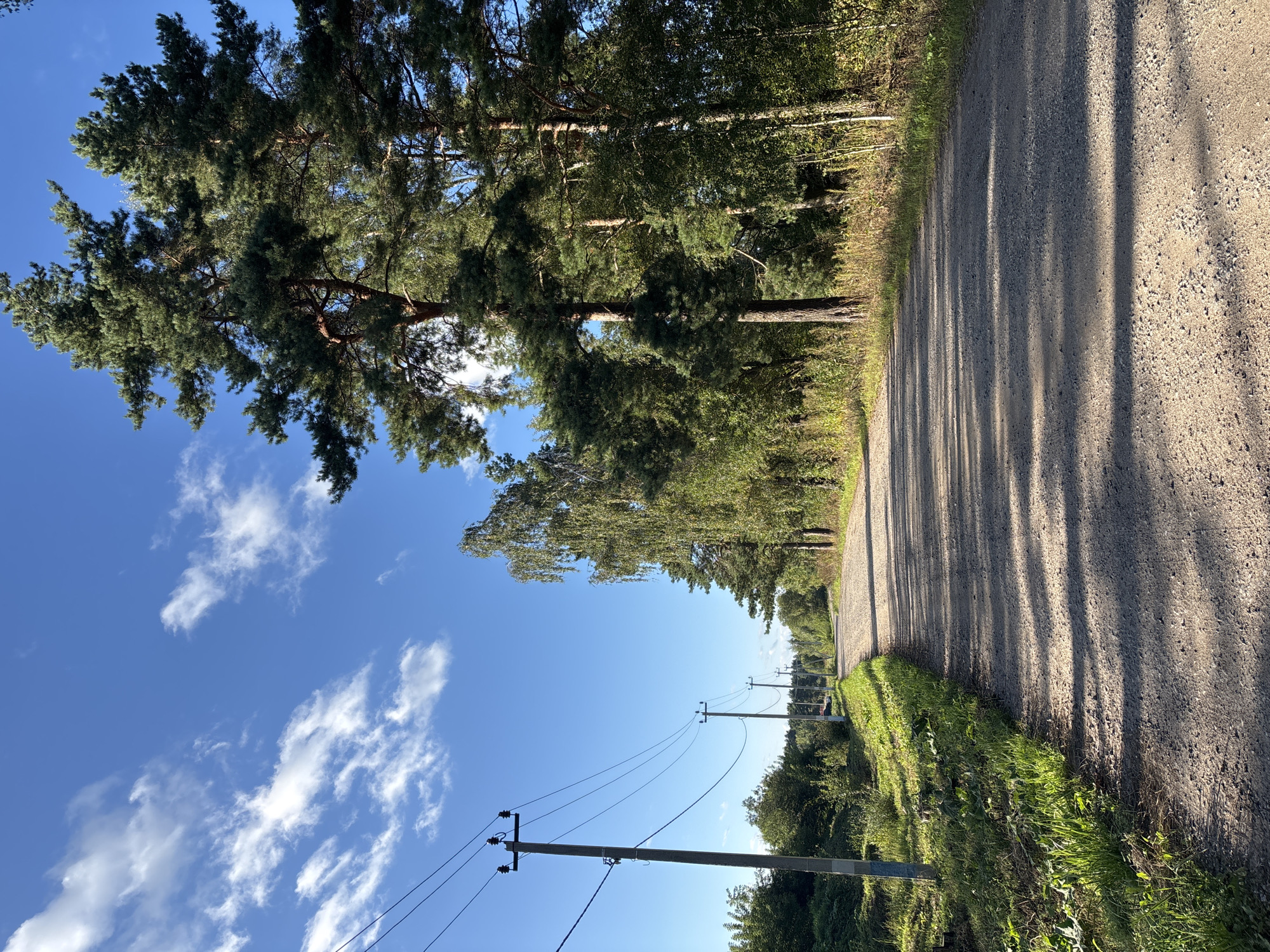 The image depicts a gravel road in Razdolye, Russia, bordered by trees and vegetation on both sides. A row of utility poles with power lines runs along the left side of the road. The sky is blue with scattered white clouds, and the sun casts shadows on the road. The trees are a mix of pine and deciduous varieties. The scene suggests a rural or semi-rural setting. There are no people or animals visible.