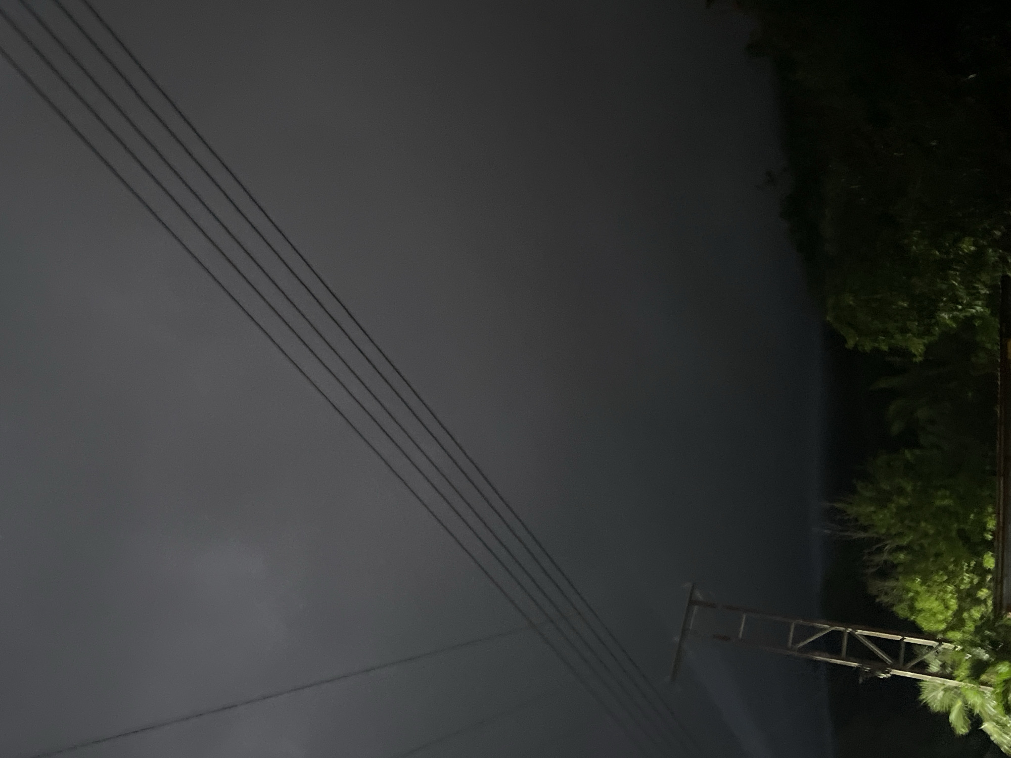 The image depicts a dimly lit outdoor scene, likely at dusk or night, given the low light conditions. The primary subjects are several parallel power lines stretching diagonally across the frame from the bottom left towards the top right. These lines are thin and dark against a muted, greyish background that suggests either a cloudy sky or fog.
On the right side of the image, a section of lush green foliage is visible, illuminated by an unseen light source, which contrasts with the darker, left portion of the image. Interspersed within this foliage and extending towards the bottom right is a power line pylon or support structure, made of metal and appearing somewhat abstract in the low light. It has a skeletal, triangular framework.
The scene conveys a sense of quietness and perhaps a touch of isolation. The weather is unclear, but the muted tones could indicate overcast conditions or a damp atmosphere. There are no people or animals visible. The location cues, such as the type of power lines and pylon, alongside the prominent greenery, are consistent with an outdoor, possibly rural or semi-urban setting. No text is present in the image.