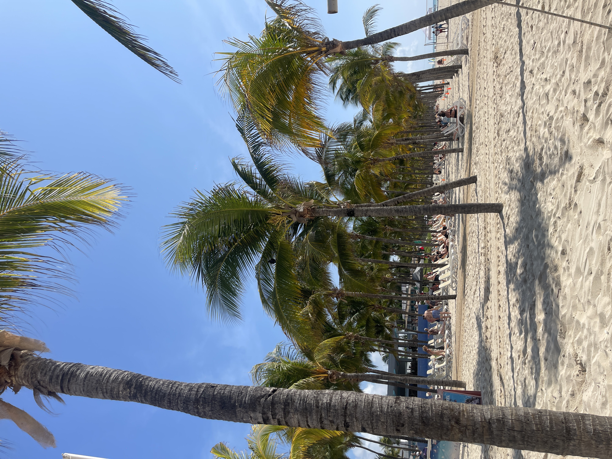 The image depicts a beach scene in Playa del Carmen, Mexico. A row of palm trees stands along the shoreline, casting shadows on the sandy beach. Beachgoers are seen relaxing in lounge chairs under the shade of the palm trees. The clear blue sky suggests a sunny day. The sand appears light in color. The image appears to be taken from a low angle.