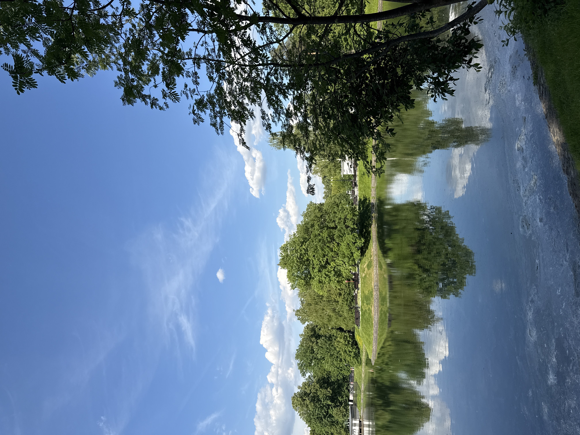 The image, when viewed in correct orientation, presents a tranquil daytime scene of a body of water lined with lush green trees and banks, under a bright blue sky. Overhanging branches with dark green leaves frame the top of the photograph, partially silhouetted against the sky.
The upper left portion of the image shows a clear blue sky, adorned with scattered white cumulus clouds and some faint, wispy cirrus clouds. These sky elements, along with the dense foliage of the trees on the opposite bank, are reflected with remarkable clarity in the calm, dark blue surface of the water, which fills the right and lower sections of the frame. The mirror-like reflections suggest very still water.
Along the far bank (left side of the water), a thick row of tall, verdant deciduous trees forms a natural backdrop, with a strip of manicured green grass sloping down to the water's edge. On the near bank (right side of the water), a narrow band of green grass and a dark pathway or road runs parallel to the water.
The scene conveys a peaceful atmosphere on a clear, sunny day, likely in late spring or summer. There are no people visible, nor any specific activities taking place. No discernible text is present in the image. The setting is characteristic of a serene park or riverside area, consistent with the provided context of Moscow, Russia.