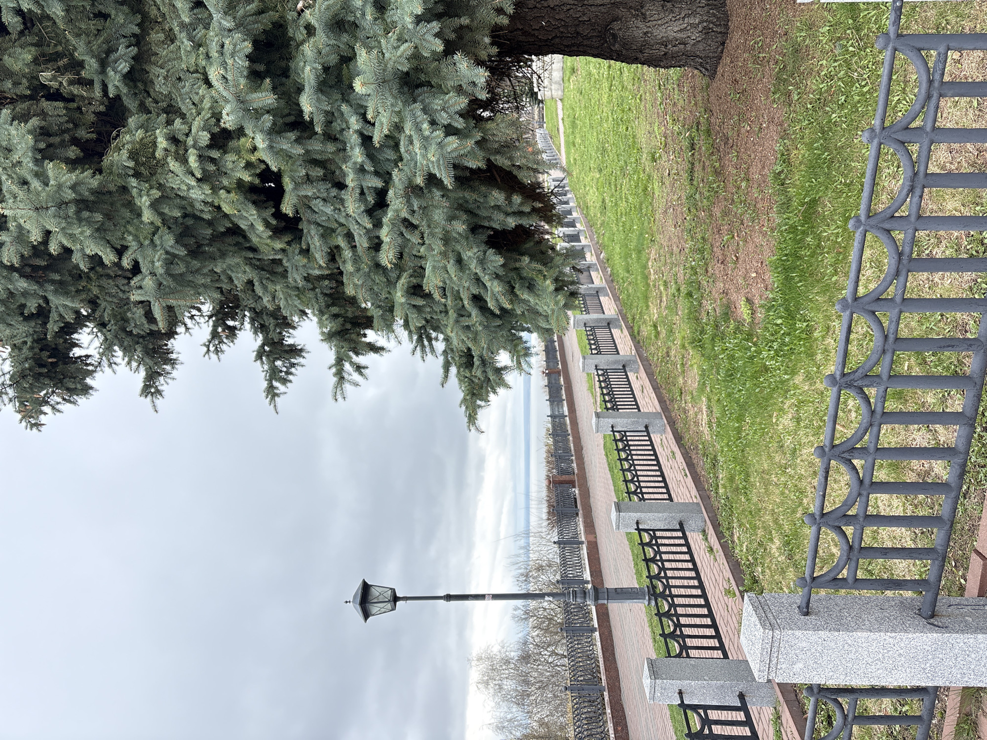 A long, slightly angled outdoor shot depicts a segment of a promenade, likely in Ulyanovsk, Russia. The foreground shows a metal fence with grey stone supports running parallel to a brick walkway. Adjacent to the walkway is a strip of green grass. Above the fence and walkway, a large evergreen tree with dense, bluish-green foliage overhangs the scene from the upper left. Further along the walkway, a black lamppost stands against an overcast sky. The distant view includes a body of water and a blurry horizon. The image is heavily tilted clockwise.