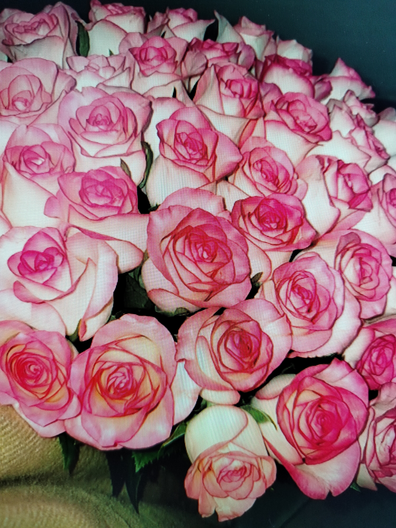 A close-up, overhead shot features a dense bouquet of pink and white roses. The roses have tightly furled petals, with a gradient of color from white at the center to a deep pink at the edges. Some green leaves are visible between the blooms. The background is dark and out of focus. There is no indication of the city of Yashkino, Russia, in the image.