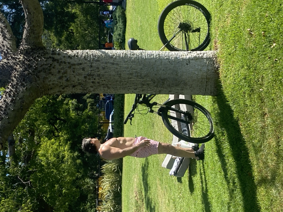 This outdoor image depicts a man and a bicycle situated in a sunny, park-like environment with lush green grass, likely in Buenos Aires, Argentina.
The central subject is a shirtless man, appearing to be in his late 20s or 30s, wearing light-colored, possibly pink, patterned swim shorts and dark sneakers. He stands upright, facing slightly away from the camera but with his head turned to the left, looking into the distance or upwards. He appears to be resting.
A black mountain bike is positioned near him, leaning against or standing close to a large tree. The front wheel of the bicycle is prominent, and the brand name "ALEXRIMS" is clearly visible in white text on the rim of both wheels. A black helmet is also visible on the grass behind the bicycle.
The most striking natural feature is a very large tree with a distinctive, light-colored, grayish trunk covered in numerous thorny or spiky protuberances, characteristic of a floss silk tree (Ceiba speciosa) common in the region. The tree's branches extend upwards and to the left, out of frame.
The ground is covered in well-maintained green grass, and strong sunlight indicates a bright, clear day, casting shadows and highlighting the scene. In the background, other trees and out-of-focus figures of people can be seen, suggesting a public park or recreational area. A small, light-colored object, possibly a bench or step, is partially visible on the grass near the man's feet. The overall impression is one of relaxation on a warm, sunny day.