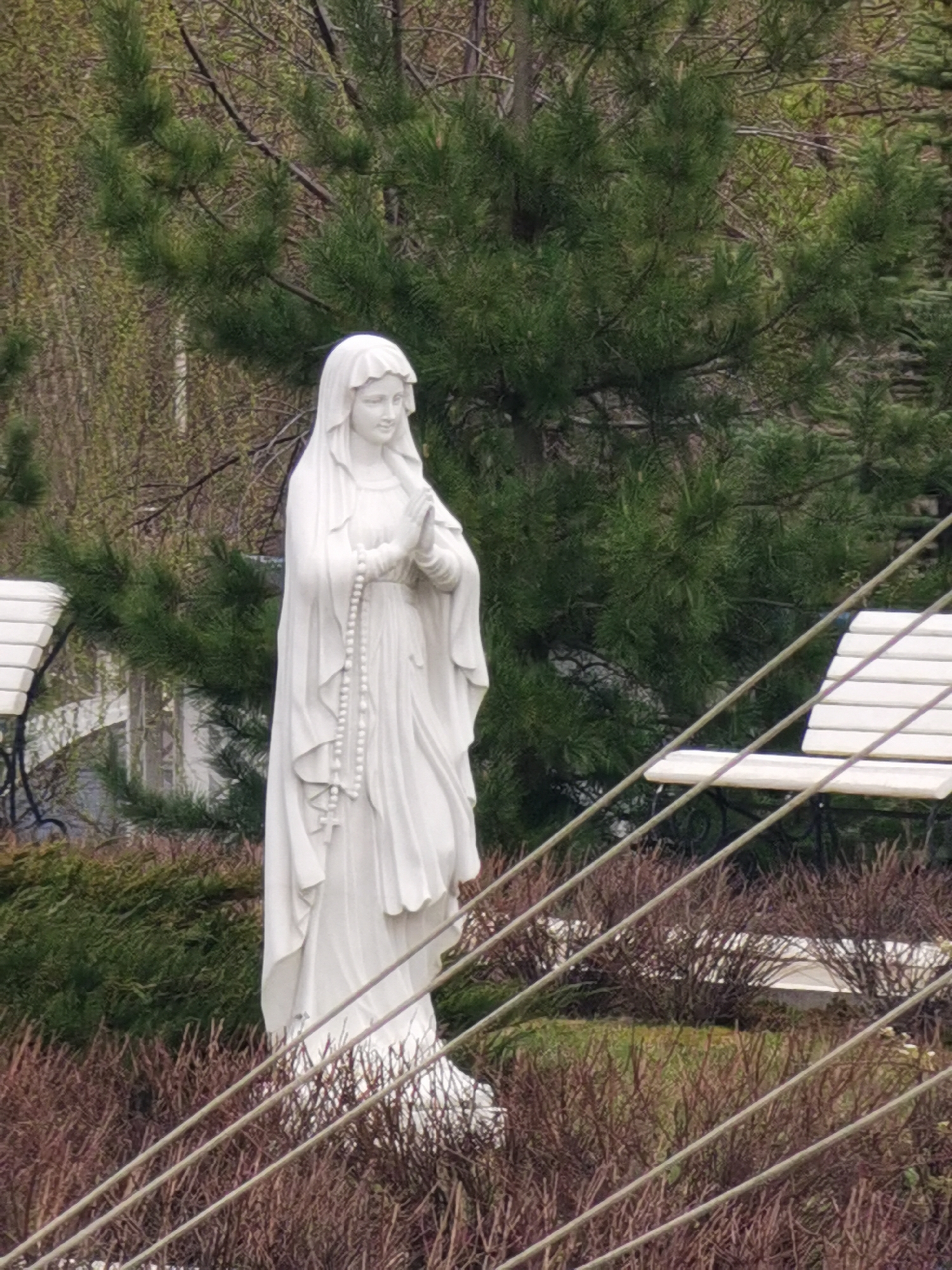 A statue of the Virgin Mary stands outdoors. The statue is white and depicts a woman with her hands clasped in prayer, wearing a long robe and head covering. A rosary hangs from her hands. The statue is positioned in a garden-like setting with greenery, bushes, and trees in the background. To the left and right of the statue, white benches are visible. Powerlines cut across the lower half of the frame. It's impossible to verify that the location is Кварса, Russia.