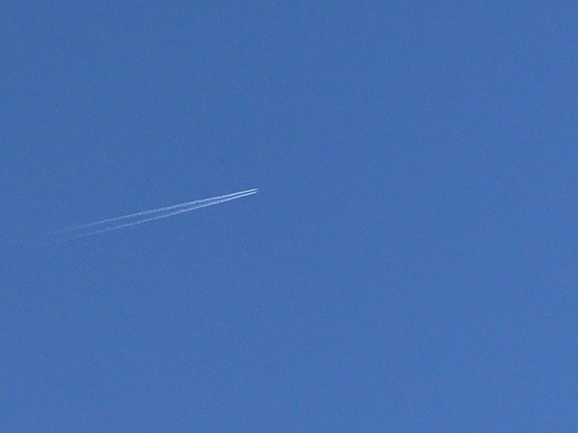 A bright, clear blue sky fills the frame. A white contrail stretches diagonally from the upper left quadrant of the image. The contrail appears to be left by a high-altitude jet. No information suggests the photo was taken in Izhevsk, Russia.