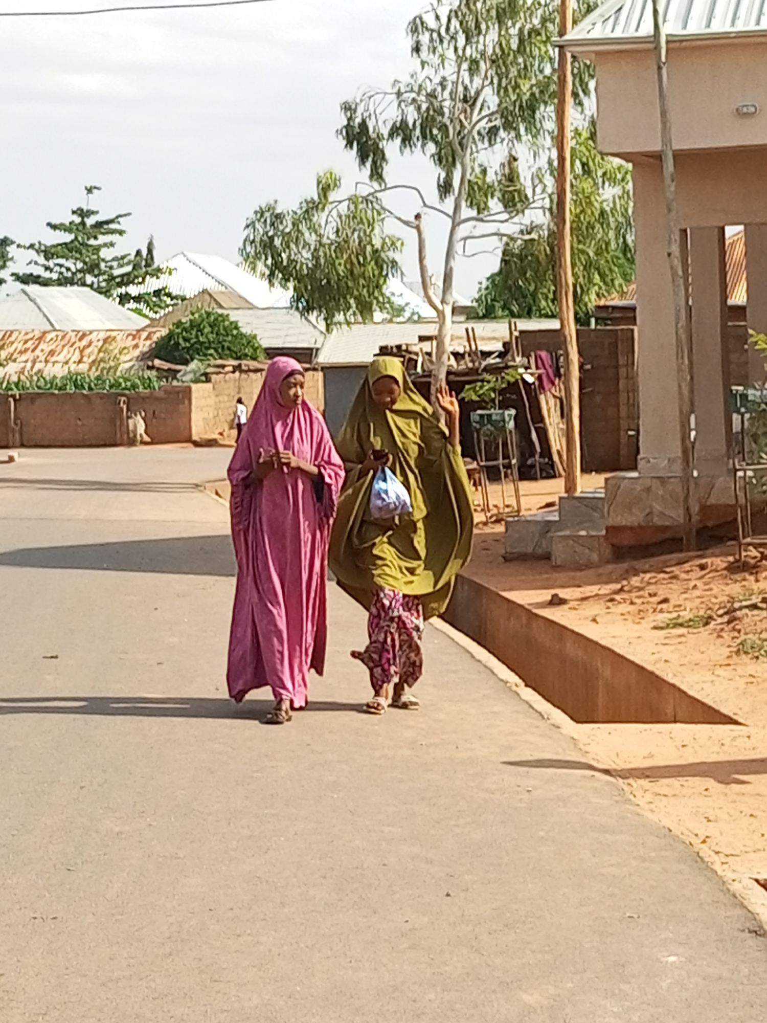 In the city of Gombe, Nigeria, on a paved road, two women are walking side-by-side. The woman on the left is wearing a bright pink abaya and hijab, and the woman on the right is wearing a green abaya and hijab and carrying a blue plastic bag in her left hand. She is also holding her right hand up, palm outward, in a gesture that could be a wave or a dismissal. A child, wearing a patterned skirt and what appears to be a pink shirt, walks between them, also carrying something. They are walking away from the camera, casting long shadows on the road. The background shows a dry, dusty environment with some trees and buildings. The building to the right appears to be a light-colored structure with a metal roof and a concrete base with steps. The area is characterized by a warm, sunny climate, suggested by the shadows and the dry vegetation.
