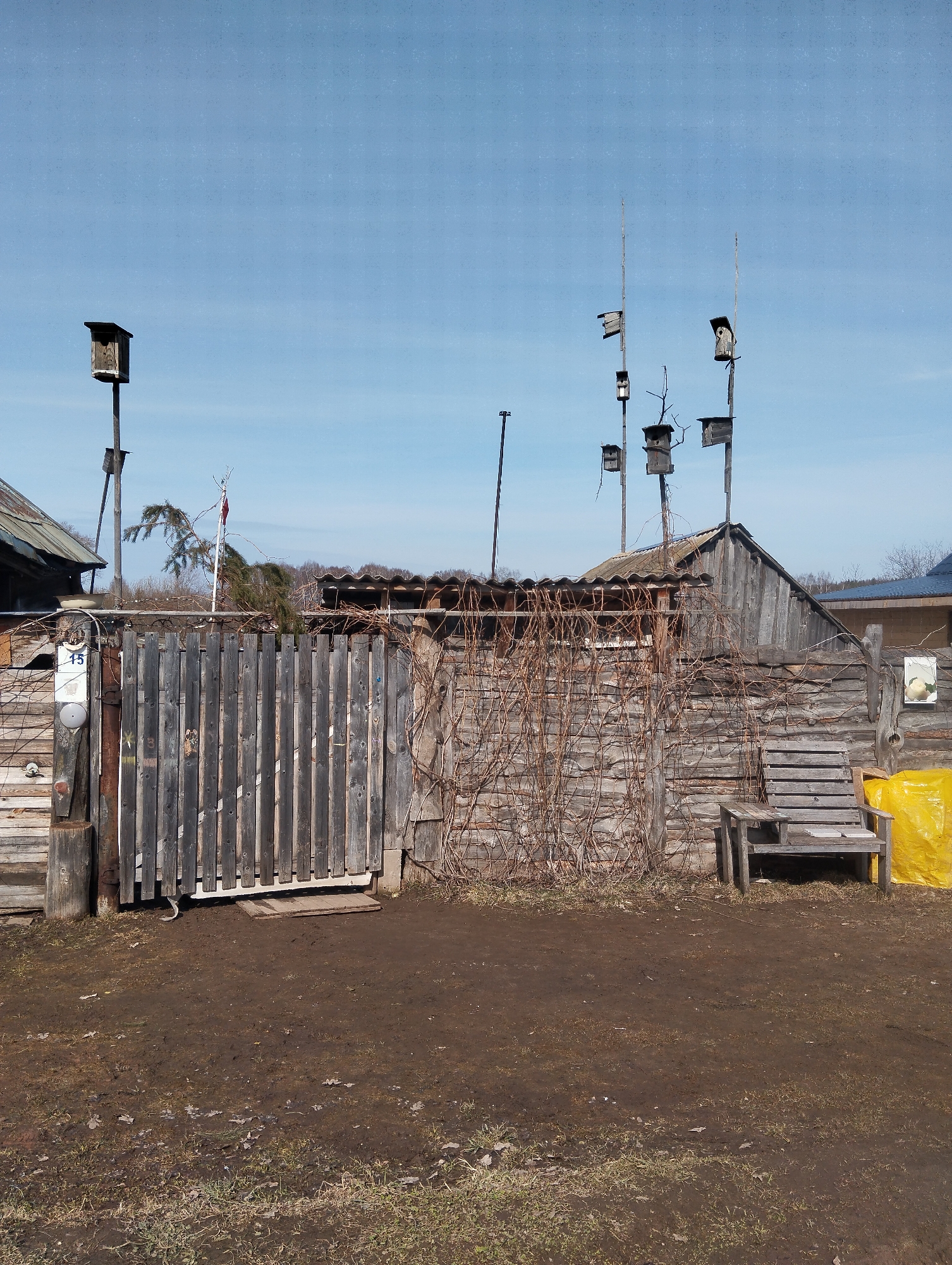 The image depicts an exterior scene in Grishanki, Russia, featuring a weathered wooden fence and gate constructed of vertical planks. Vines are attached to the fence. Behind the fence is a wooden building. Seven birdhouses are positioned on poles of varying heights that stretch into the sky. To the right of the fence sits a wooden bench. A yellow tarp is next to the bench. The ground is bare and muddy, with sparse patches of grass. The sky is blue. A sign marked "15" is attached to the left side of the fence. The overall scene suggests a rural or semi-rural environment.