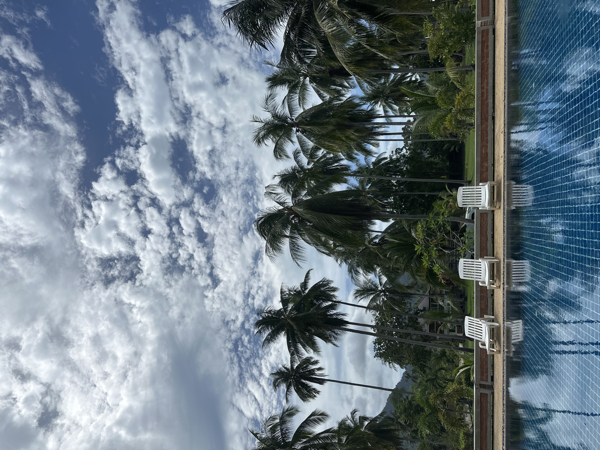 The image depicts a serene poolside scene in Baan Lipa Noi, Thailand. In the foreground, a clear blue swimming pool with a tiled bottom reflects the sky and surrounding palm trees. Three white lounge chairs are neatly arranged on the pool deck, positioned in front of a low brick wall. Behind the wall, a lush green lawn stretches towards a dense line of tall palm trees, their fronds reaching towards a sky filled with dramatic, white, puffy clouds against a bright blue backdrop. In the distance, hints of buildings and the dark silhouette of a mountainous landscape can be seen peeking through the foliage. The overall impression is one of a tranquil tropical resort setting.