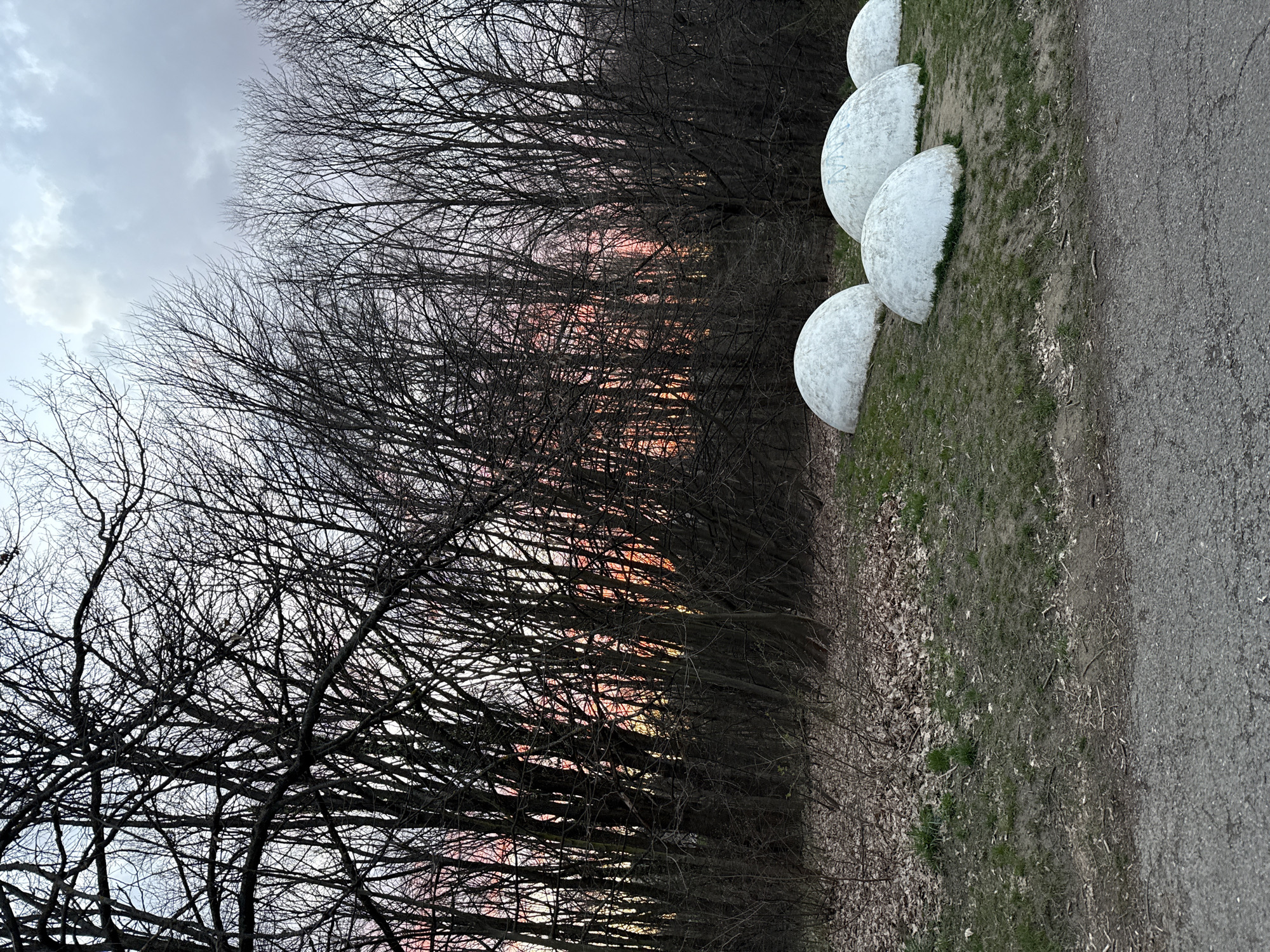 The image shows a landscape scene. On the left side are trees with bare branches against a sky with a hint of sunset or sunrise. To the right of the trees is a grassy area with some dry leaves, and further to the right is a paved road. Adjacent to the road are five white, hemispherical structures of identical size, arranged in a row. The location is likely in Sofia, Bulgaria, based on the presence of distinctive landscape elements and architectural features.