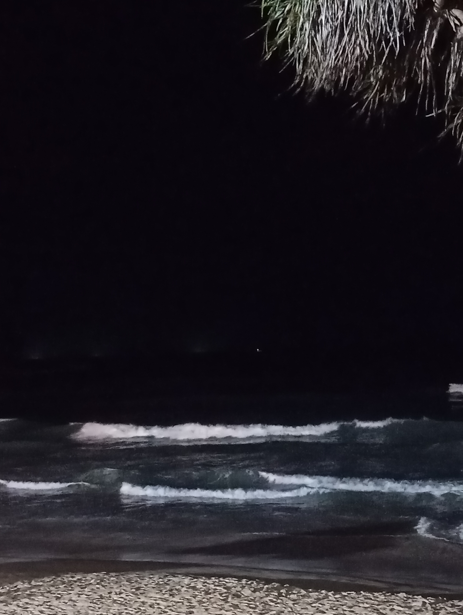 A nighttime beach scene features a dark sky above a dark ocean with several white-capped waves rolling in. The foreground shows a sandy beach. The upper right corner of the image is partially obscured by the fronds of a palm tree. The scene is dark, suggesting it was taken at night. There are no people or identifiable structures visible.